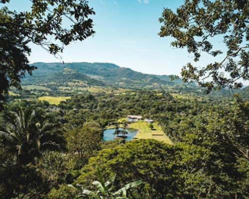 Fara Coffee, Whole Bean (Breakfast Blend, (Medium), 2.2 Lb)