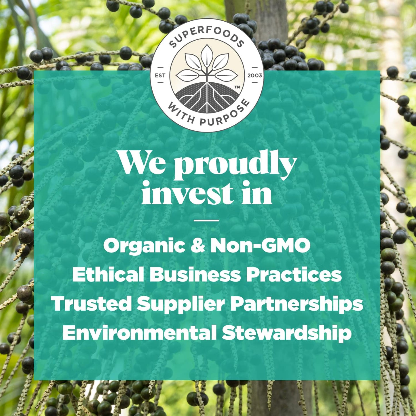 Navitas Organics Acai Powder, 4oz. Pouch, 38 Servings