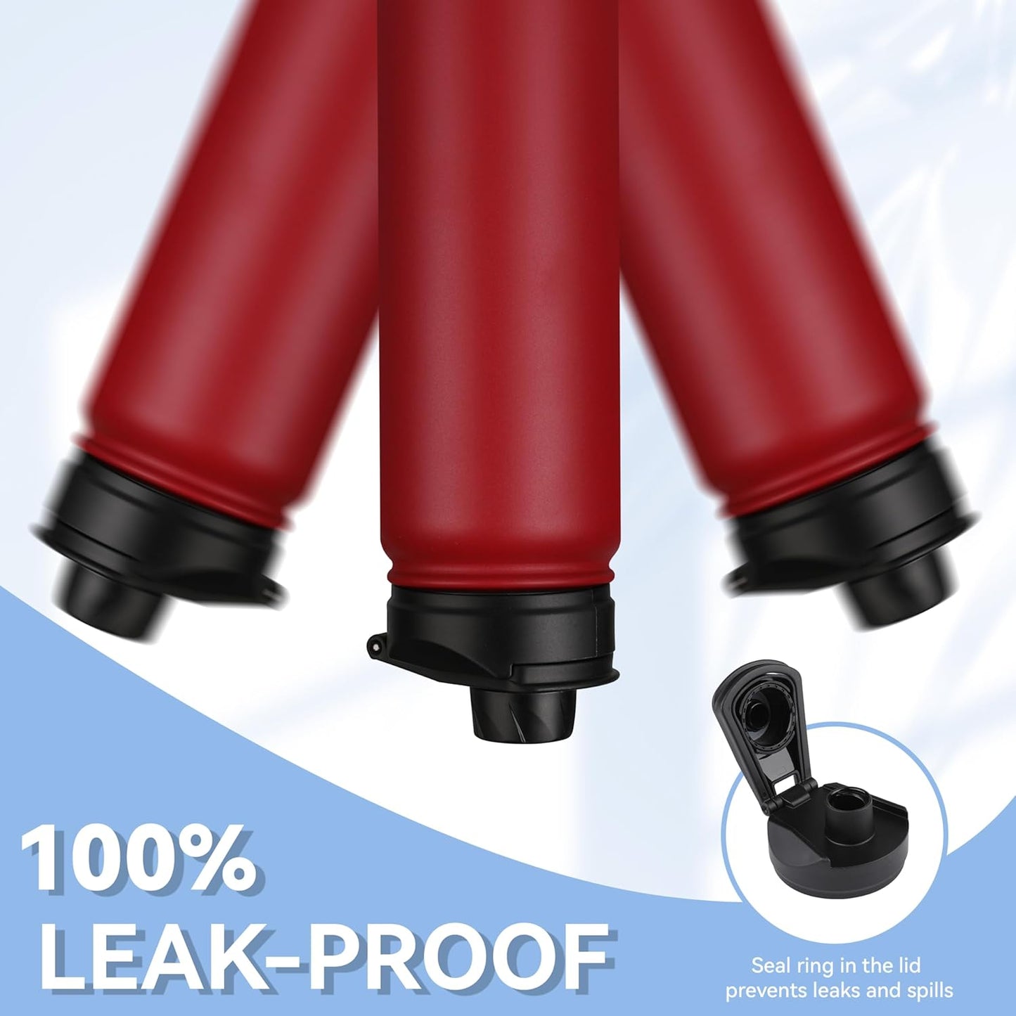 HASLE OUTFITTERS Insulated Water Bottle 22 oz Double Wall Stainless Steel Water Bottle Wide Mouth with Straw Lid & Spout Lid Keeps Cold or Hot(Red,8)