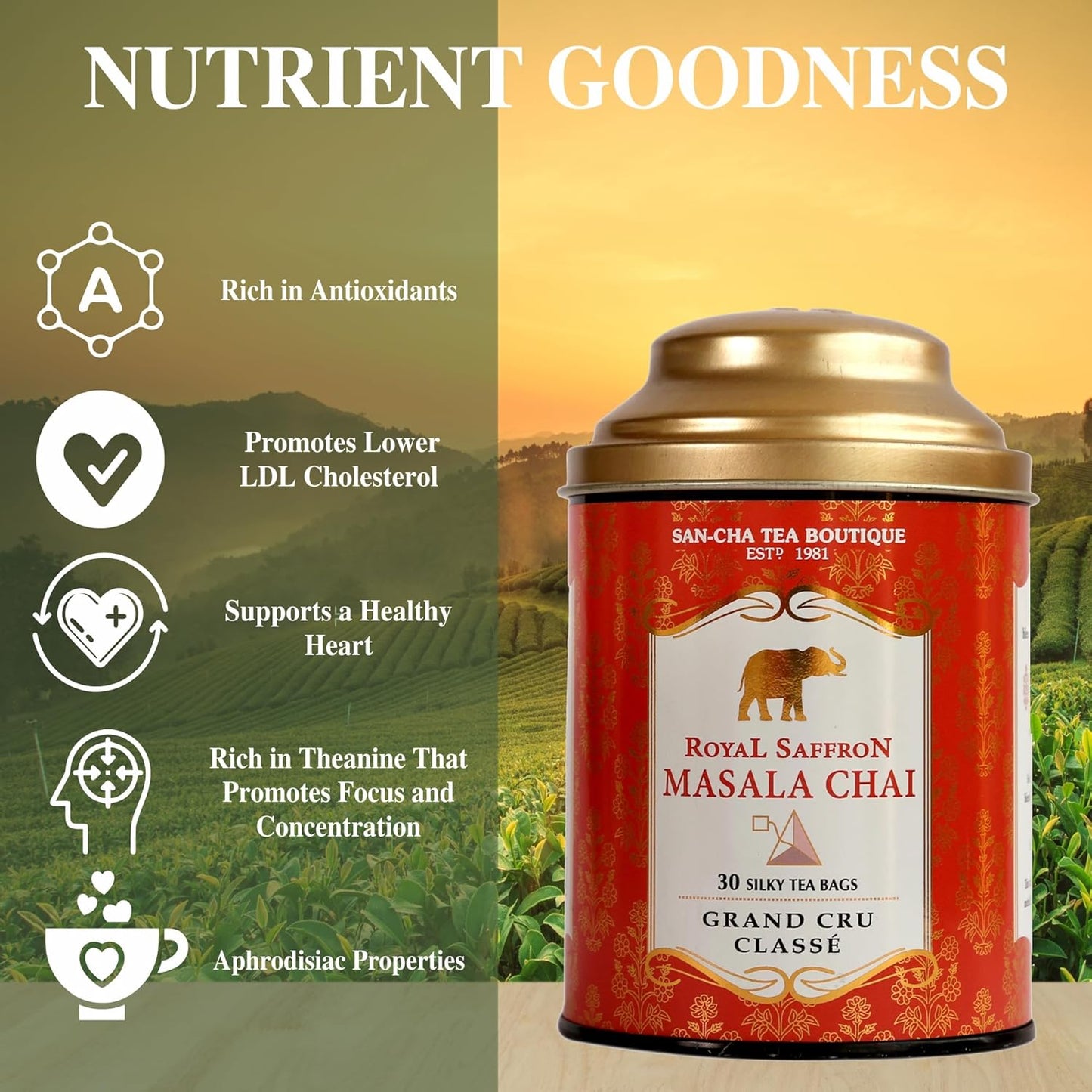 Sancha Tea Boutique Royal Saffron Chai | 30 Pyramid Bags | Masala Chai with Real Kashmiri Saffron & Premium Assam Tea | India’s Famous Spiced Tea