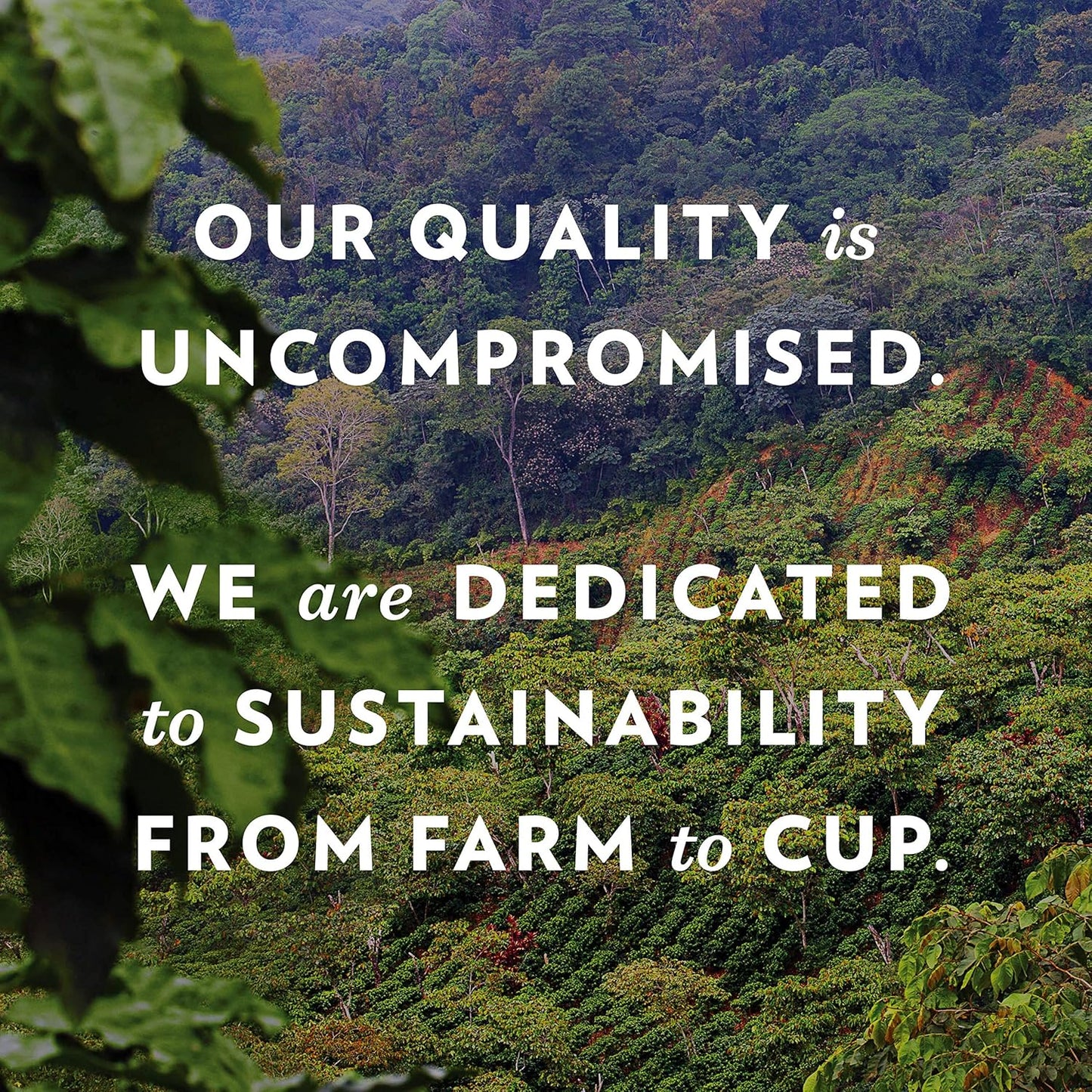 Community Coffee American Classic 72 Count Coffee Pods, Medium Roast, Compatible with Keurig 2.0 K-cup Brewers, 12 Count (Pack of 6)