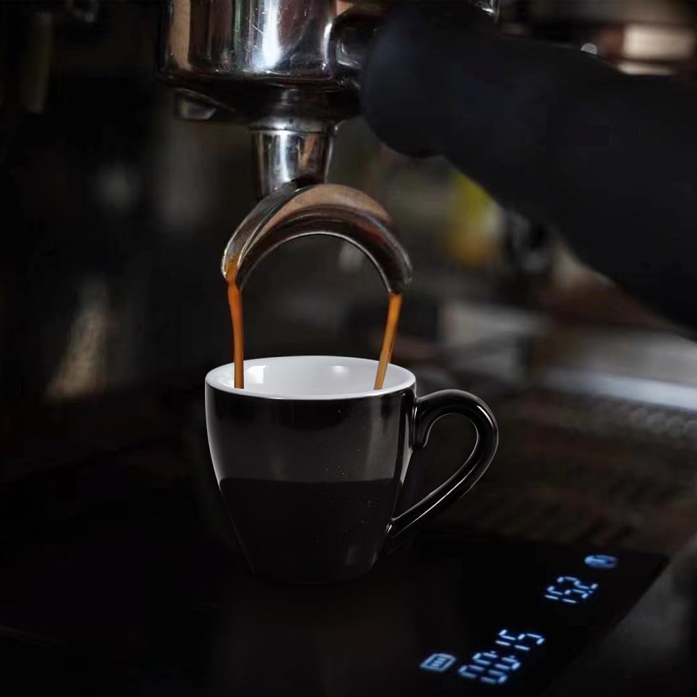 homEdge Porcelain Espresso Shot Cup Set with Saucers and Stainless Steel Spoons - 80 ml / 2.67 oz, Set of 4, Black