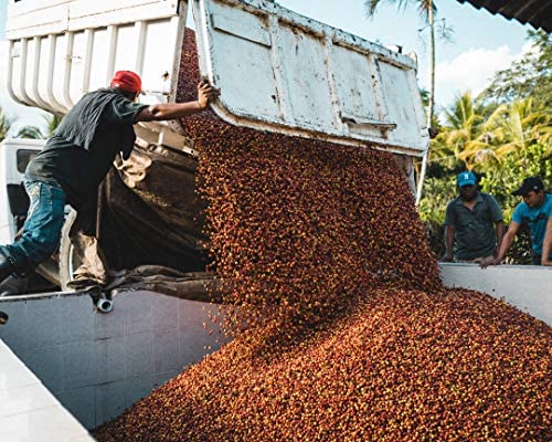 Fara Coffee, Whole Bean (Breakfast Blend, (Medium), 2.2 Lb)