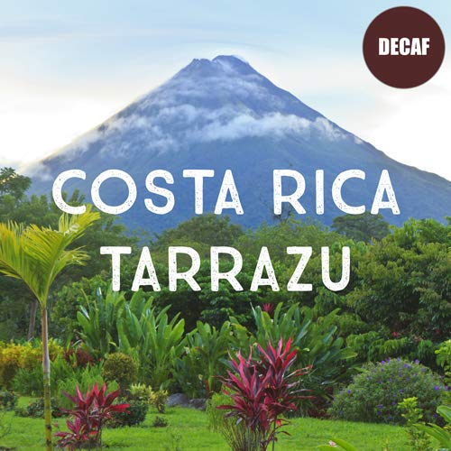 Costa Rica Decaf Tarrazu Coffee, Whole Bean, Swiss Water Processed, Rainforest Certified, Fresh Roasted, 5 lbs