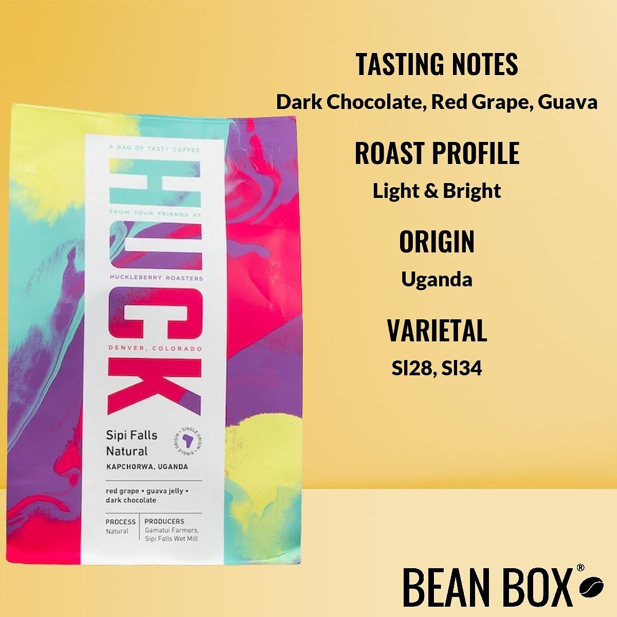 Uganda Sipi Natural - Roasted by Huckleberry Roasters - Whole Bean Coffee - 2 Pound Bag