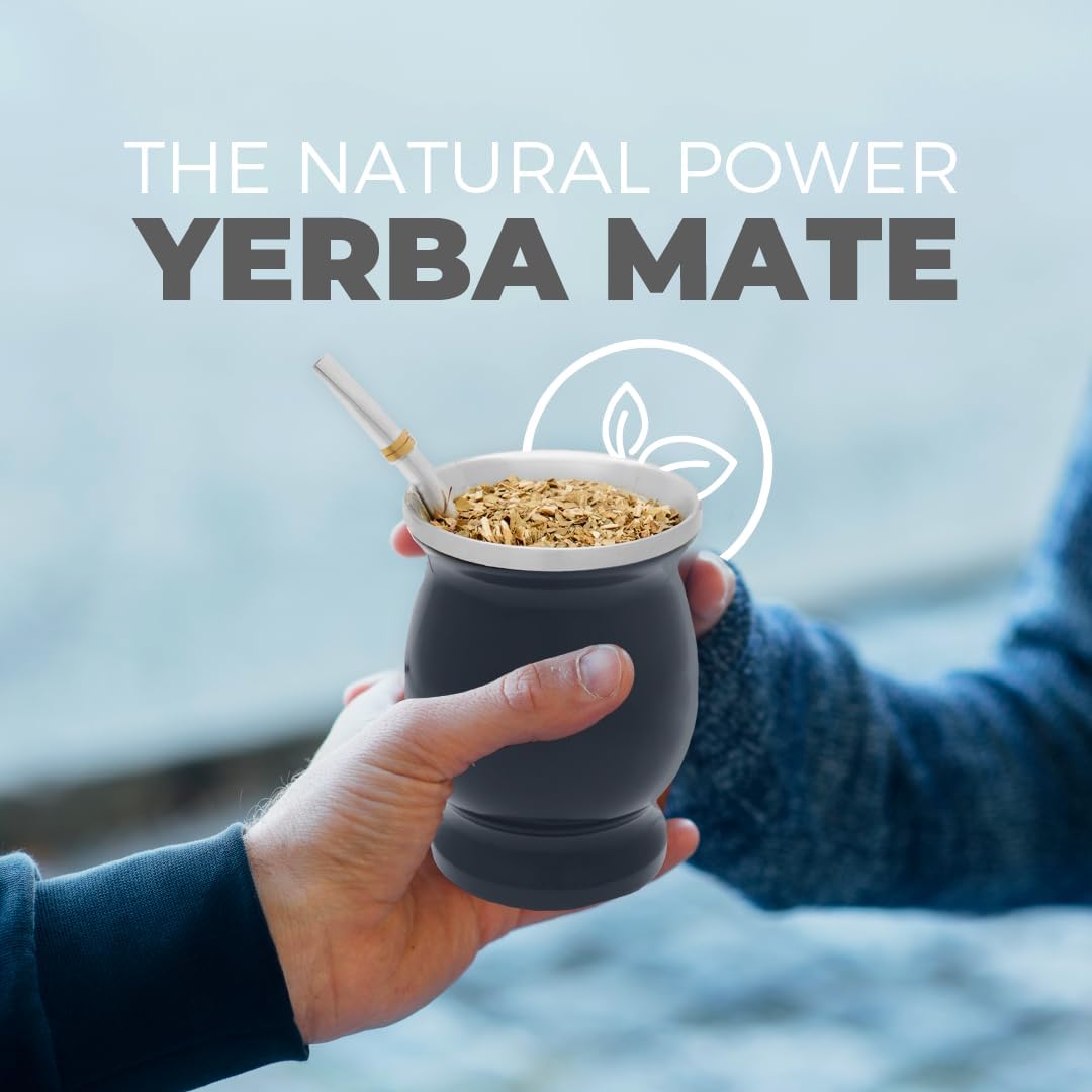 Balibetov [NEW] double wall Stainless Steel Yerba Mate Gourd set (Mate cup) with Yerba Mate Bombilla (straw) (GRAY)