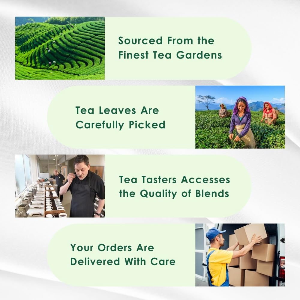 Classic Green Tea Bags (3.53oz/100gm), Loose Leaf 50 Pyramid Teabags, Blended with Fresh Herbs and Spices, Organic Herbal Tea, Low Caffeine Gluten Free