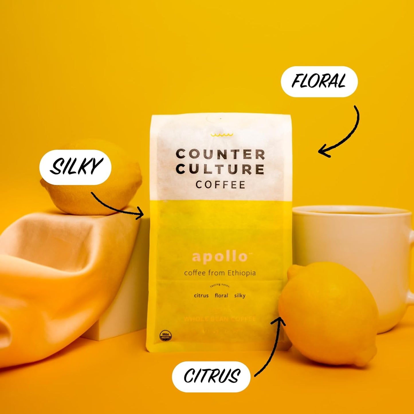 Counter Culture Coffee - Fresh Roasted Certified Organic Whole Bean Coffee (Kosher) (Apollo Double Pack)