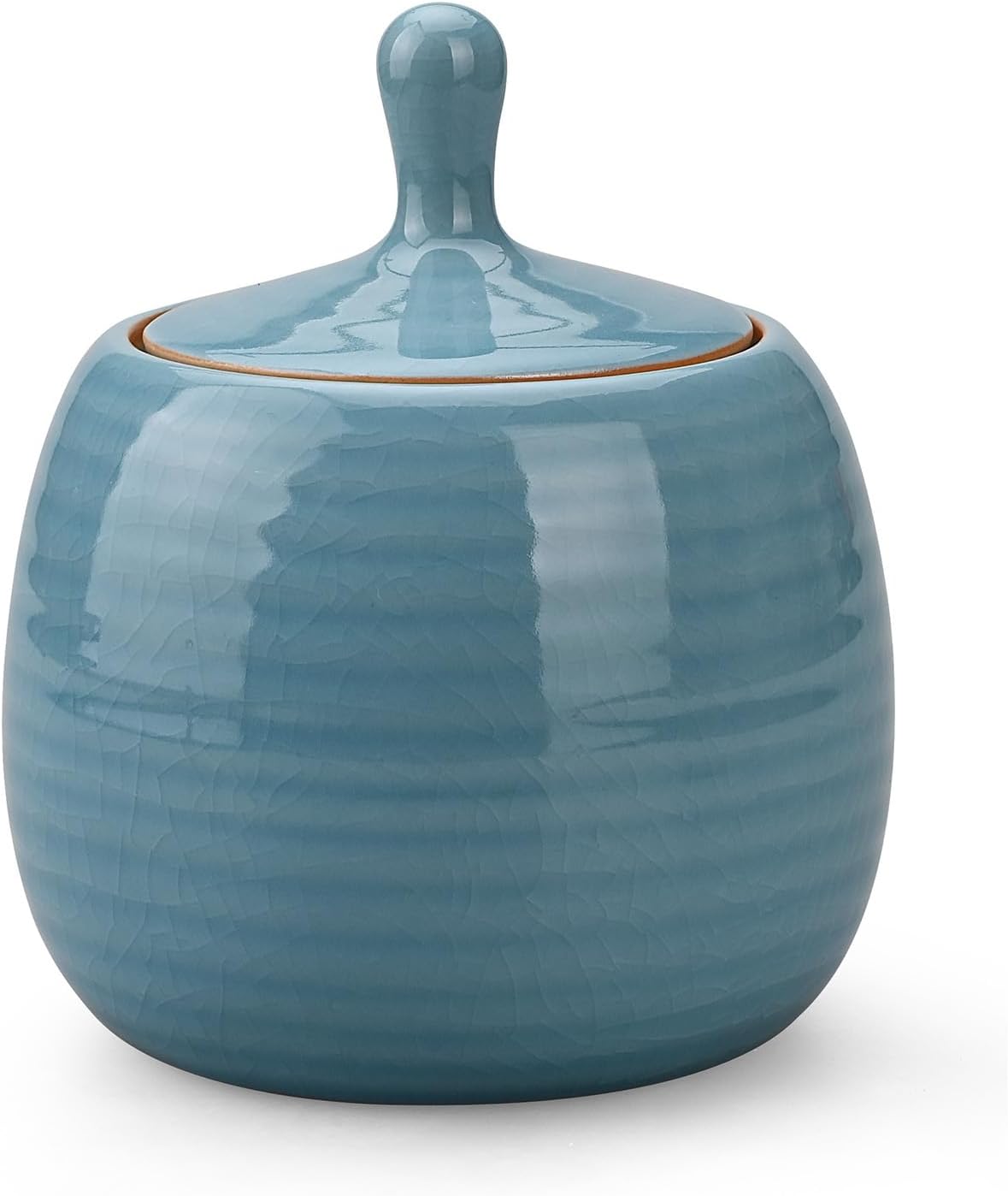 Kitchen Canisters Vintage Ceramic Food Storage Jar with Airtight Lid for Tea, Coffee, Herb, Sugar, Spice, Nuts (Blue(ICE))