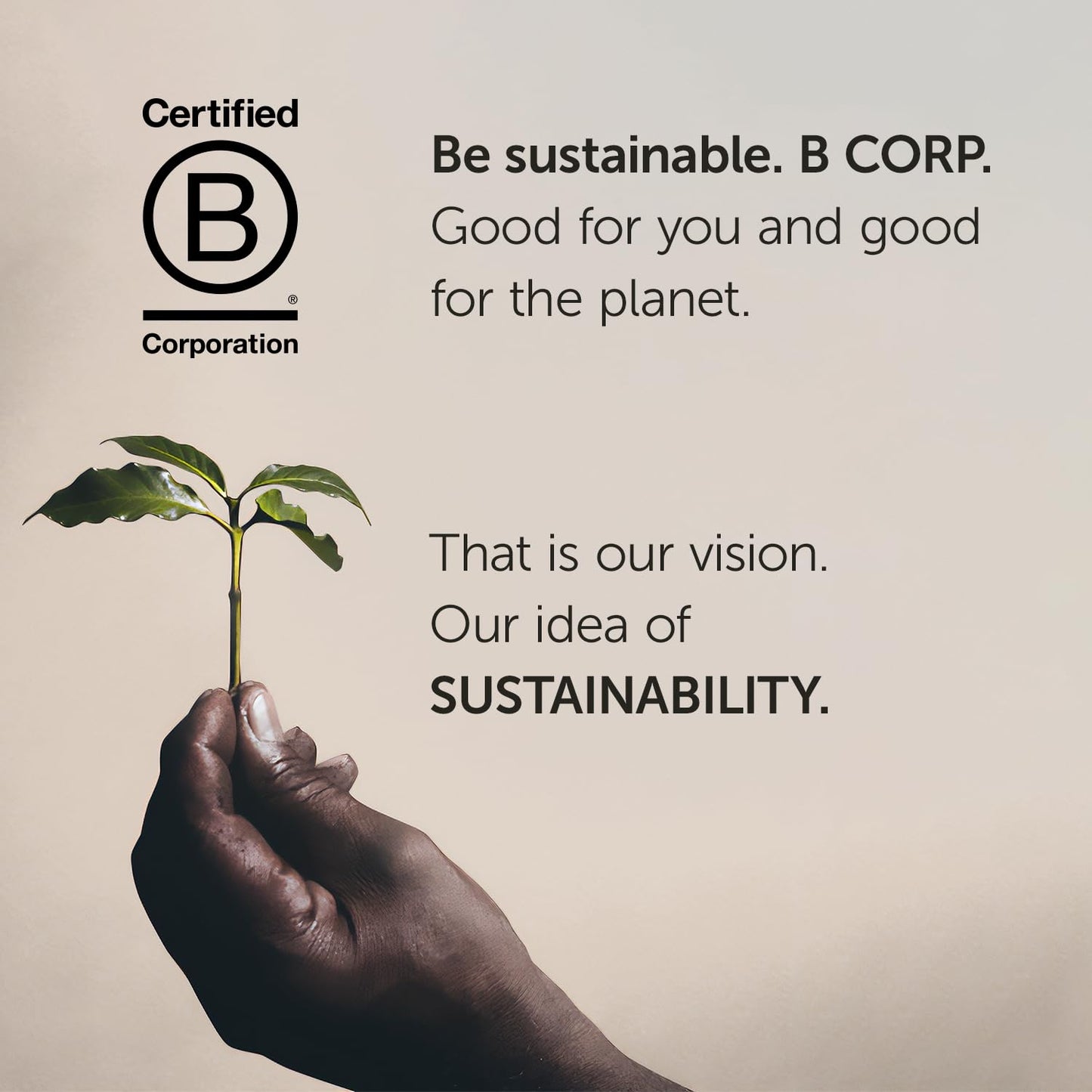 illy Ready To Drink Coffee, CLASSICO Cold Brew, 8.5 Ounce