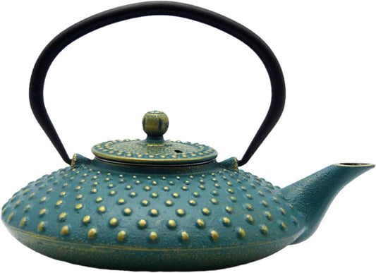 27.1oz Small Cast Iron Teapot,SECHUDO Tea Kettle Coated with Enameled Interior for Stovetop Safe, Japanese Style Cast Iron Teapot with Stainless Steel Infuser for Loose Tea,Flat Pattern(800ml)