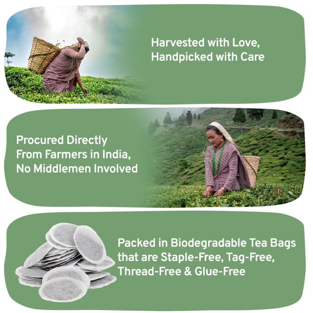 HANDPICK, Organic English Breakfast Black Tea Bags (100 Count) USDA Organic, Non-GMO | Strong, Robust, High-Caffeine Black Tea | Eco-conscious Tea Bags, Brew English Breakfast Tea & Kombucha Tea