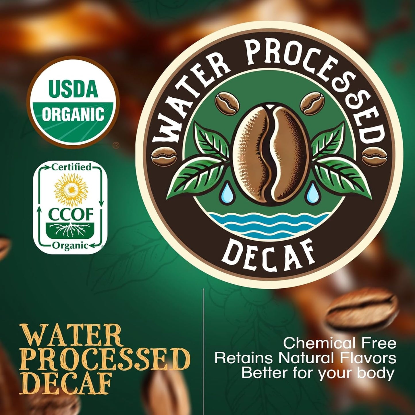 The Bean Organic Coffee Company Water Processed DECAF South America Blend, Medium Roast, Whole Bean Coffee, 16-Ounce Bags (Pack of 2)