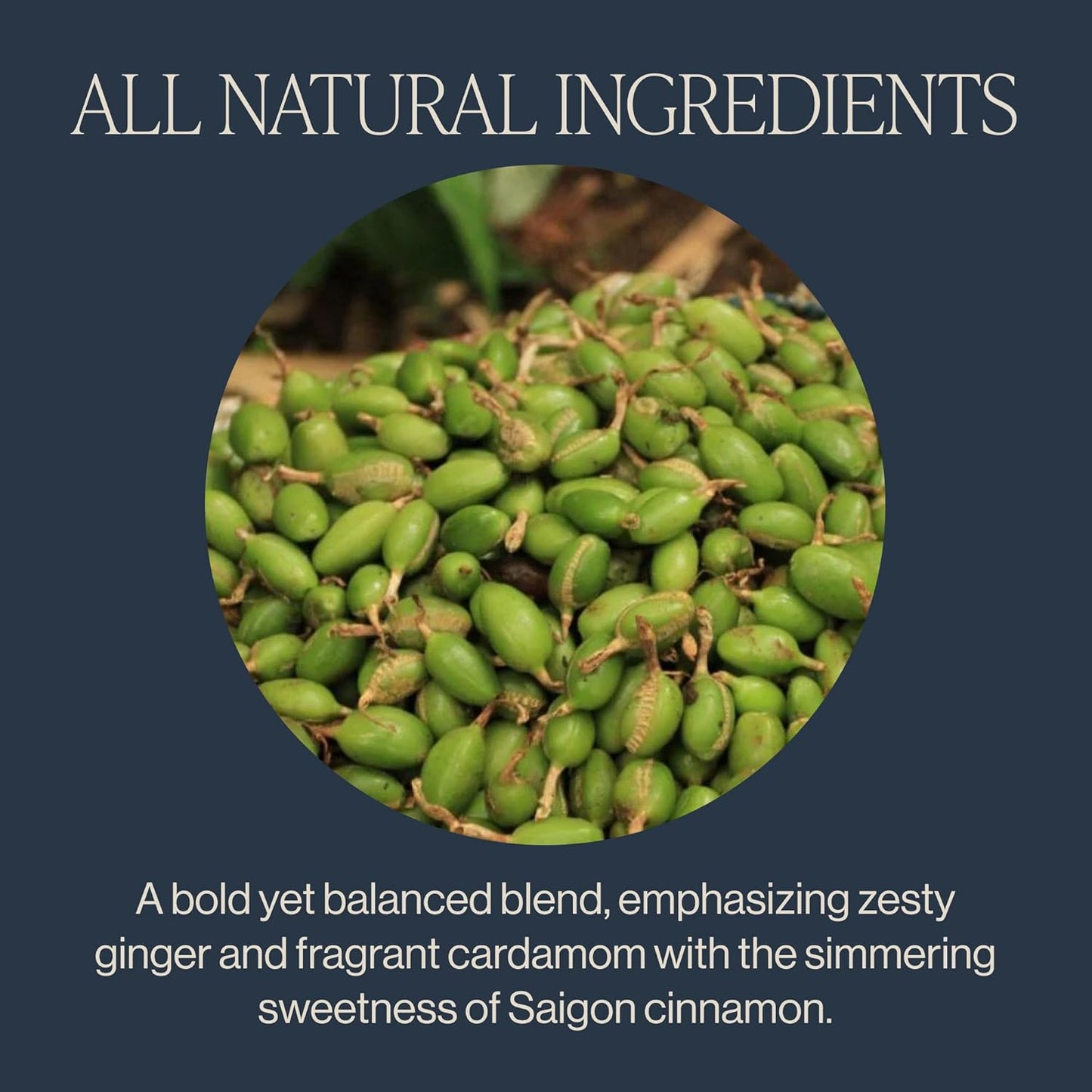 Rishi Tea Masala Chai Black Loose Leaf Tea Blend - Organic, Assam with Whole Spices, Energizing & Caffeinated - 16 Ounces, 37+ Servings