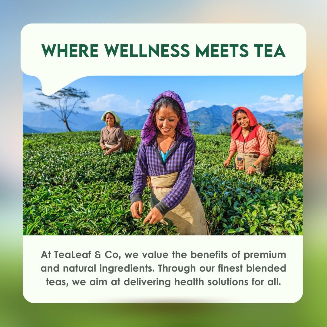 Lemon Ginger Green Tea Bags (50 Count), Green Tea with Orange Peel, Black Pepper & Mint Extract, Caffeinated, Real and Natural Green Tea, Blended with Fresh Herbs and Spices, Gluten Free