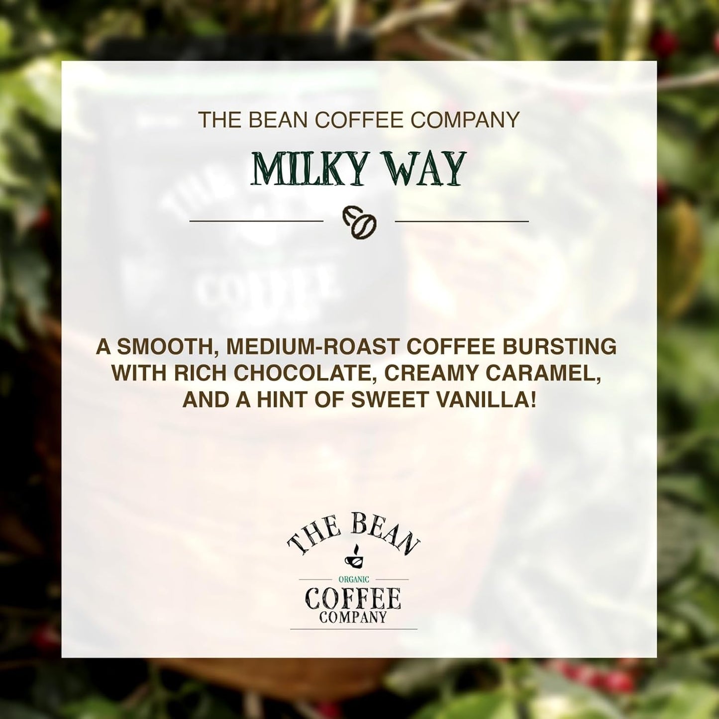 The Bean Organic Coffee Company Milky Way, Medium Roast, Whole Bean Coffee, 16-Ounce Bag
