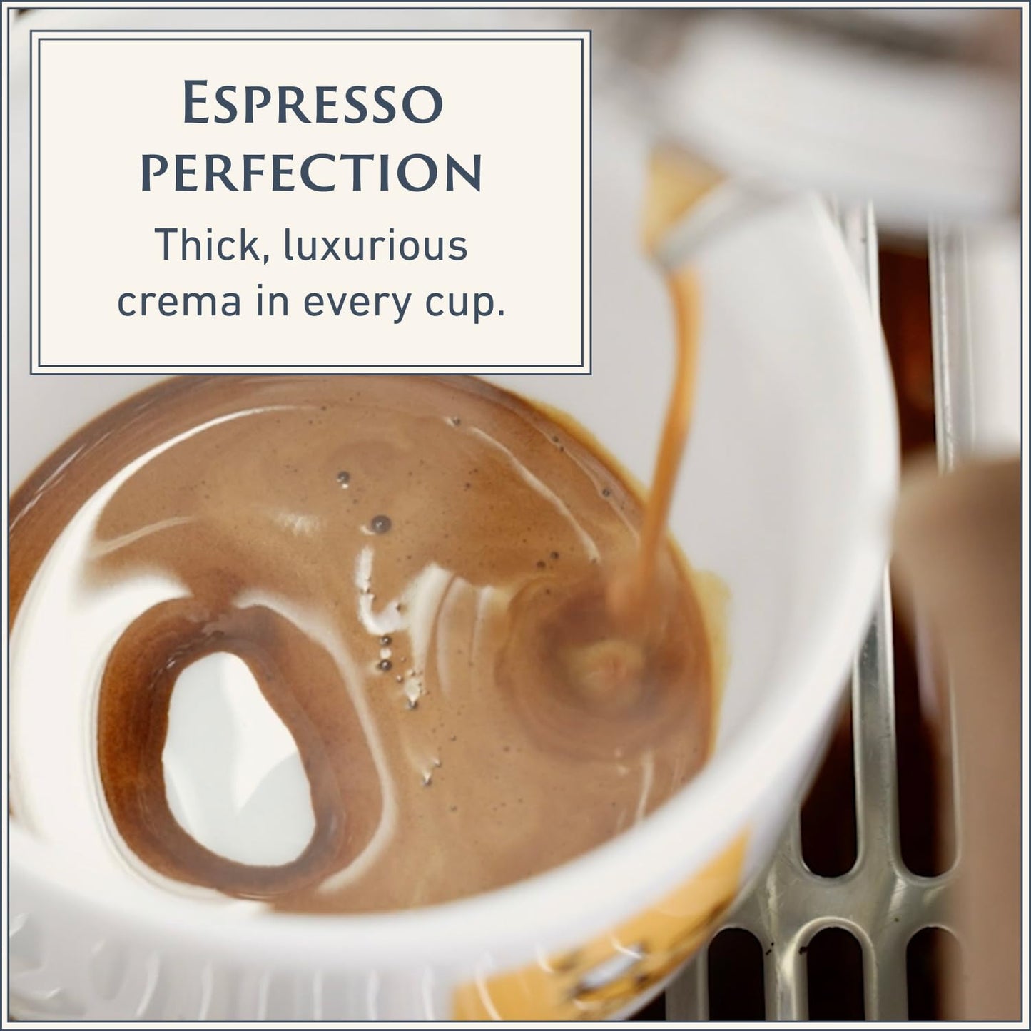 Filicori Zecchini Italian Espresso Beans – Whole Bean Coffee, Bold Dark Roast Arabica & Robusta Blend – Slow Roasted – Forte 2.2lb Bag