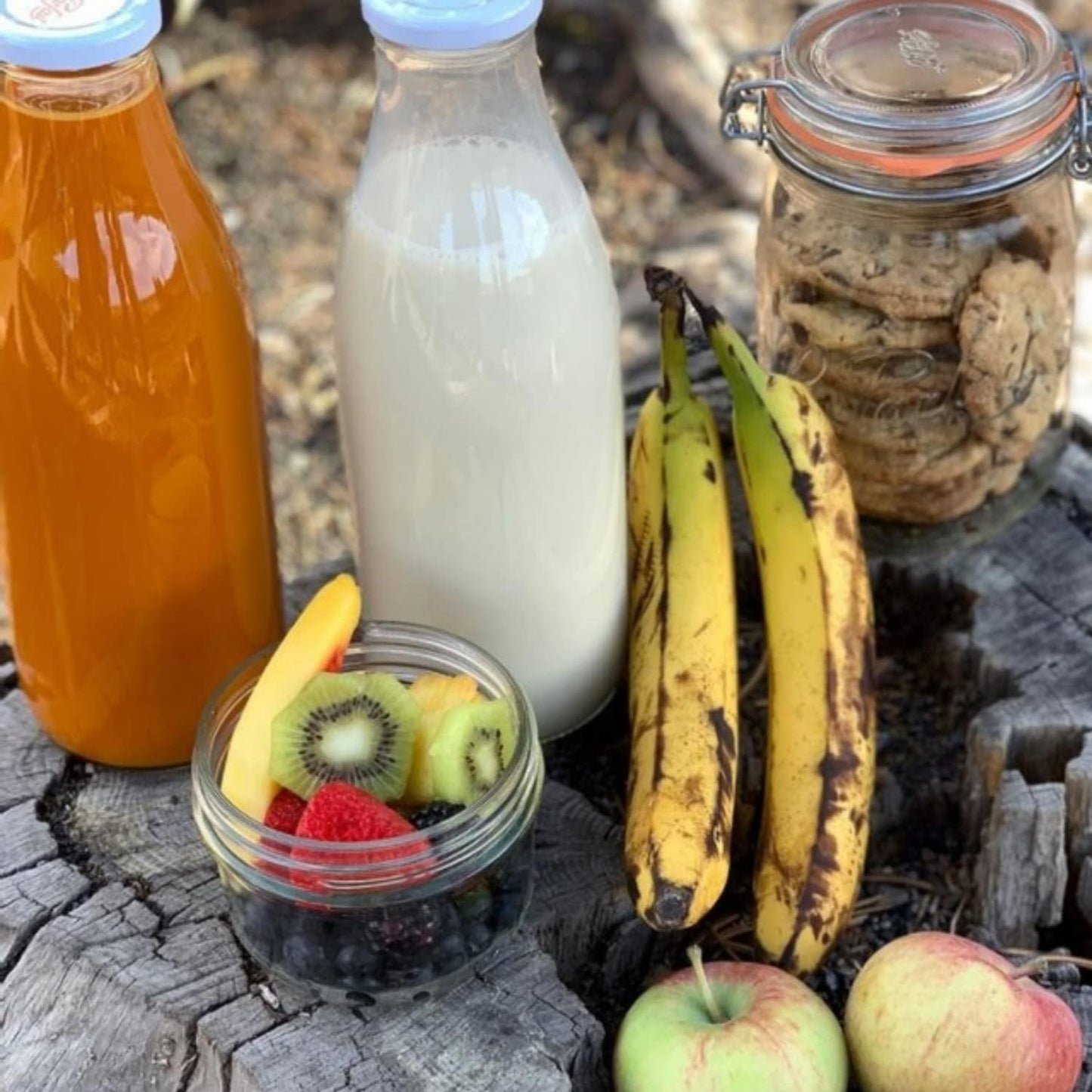 Le Parfait Bottles French Glass Milk Bottle with 48mm Printed Logo Airtight Metal Twist Cap | Used for Smoothie, Water Bottle, Preserved Tomato Sauce & other Soups | 16oz (Pack of 6) 500ml