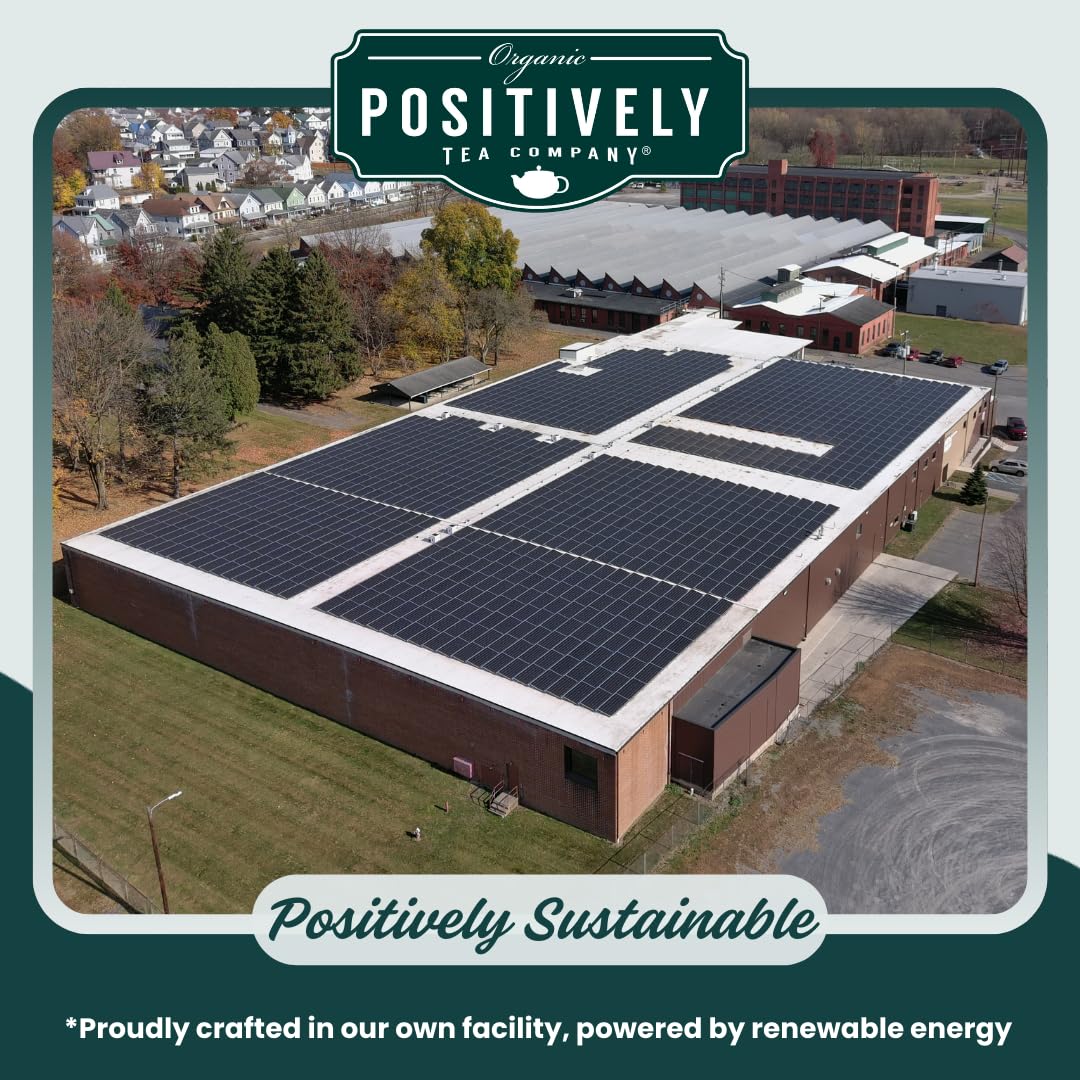 Organic Positively Tea Company, Herbal Tea Sampler, Loose Leaf, 4 Ounce, 3 Pack