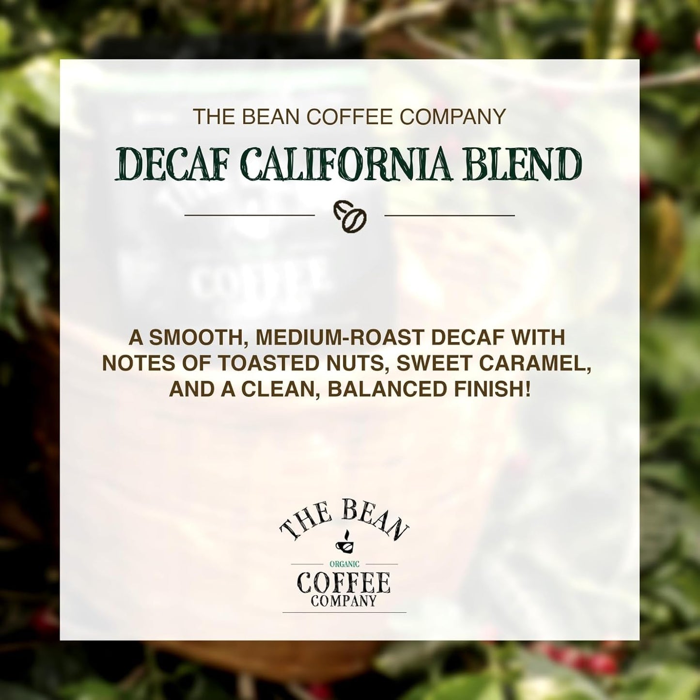 The Bean Organic Coffee Company Water Processed DECAF California Blend, Medium Roast, Whole Bean Coffee, 16-Ounce Bags (Pack of 2)