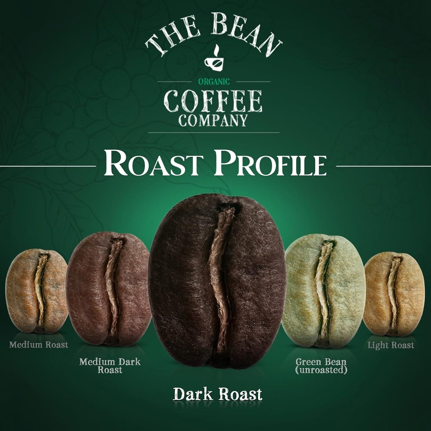 The Bean Organic Coffee Company 50/50 French Roast, 50% Decaf, Dark Roast, Whole Bean Coffee, 16-Ounce Bag, USDA Organic Certified