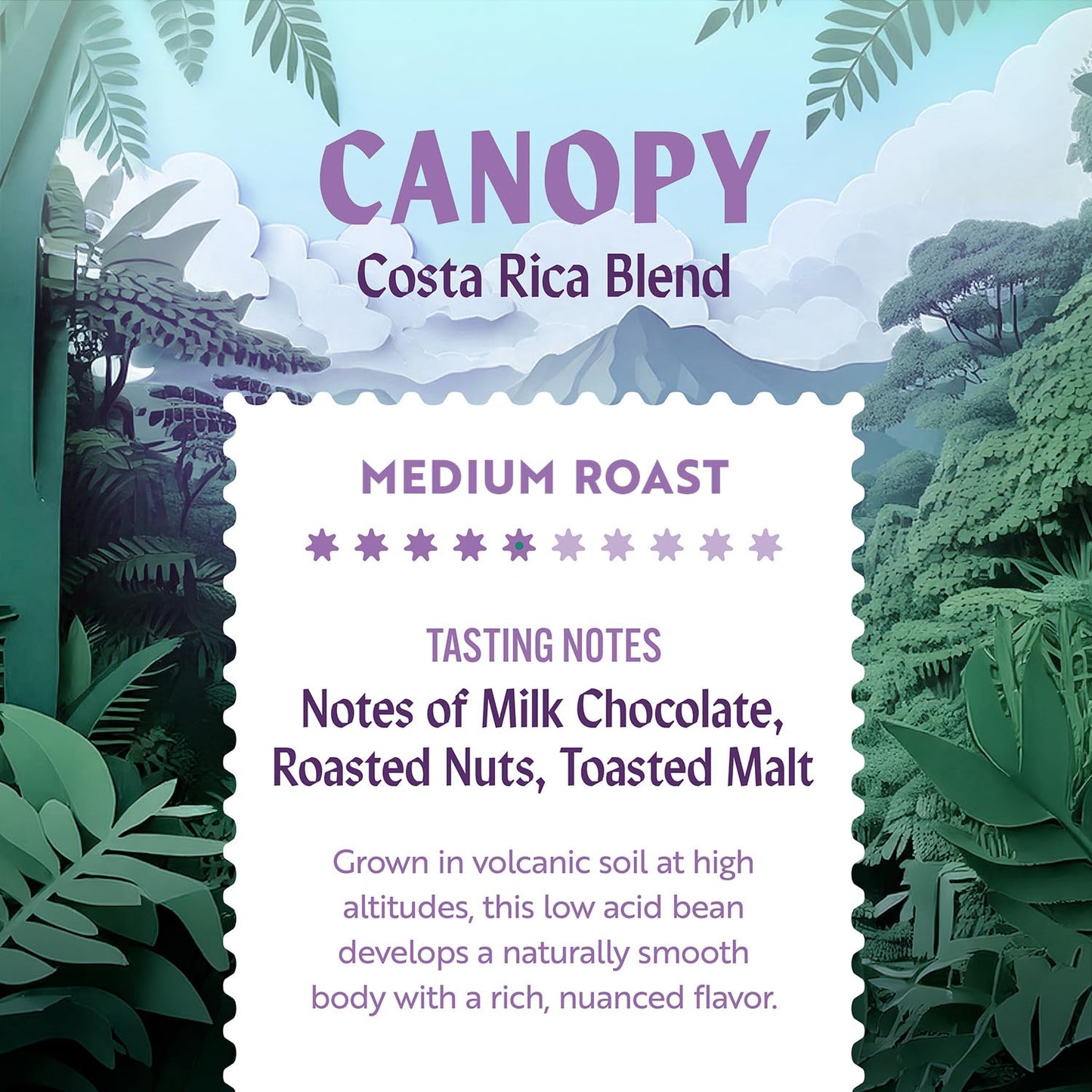 Clean Coffee Co. - Low Acid Medium Roast, Tested for Molds and Toxins, Costa Rica Blend, Notes of Milk Chocolate, Roasted Nuts, Toasted Malt (Ground, 12 oz Bag)