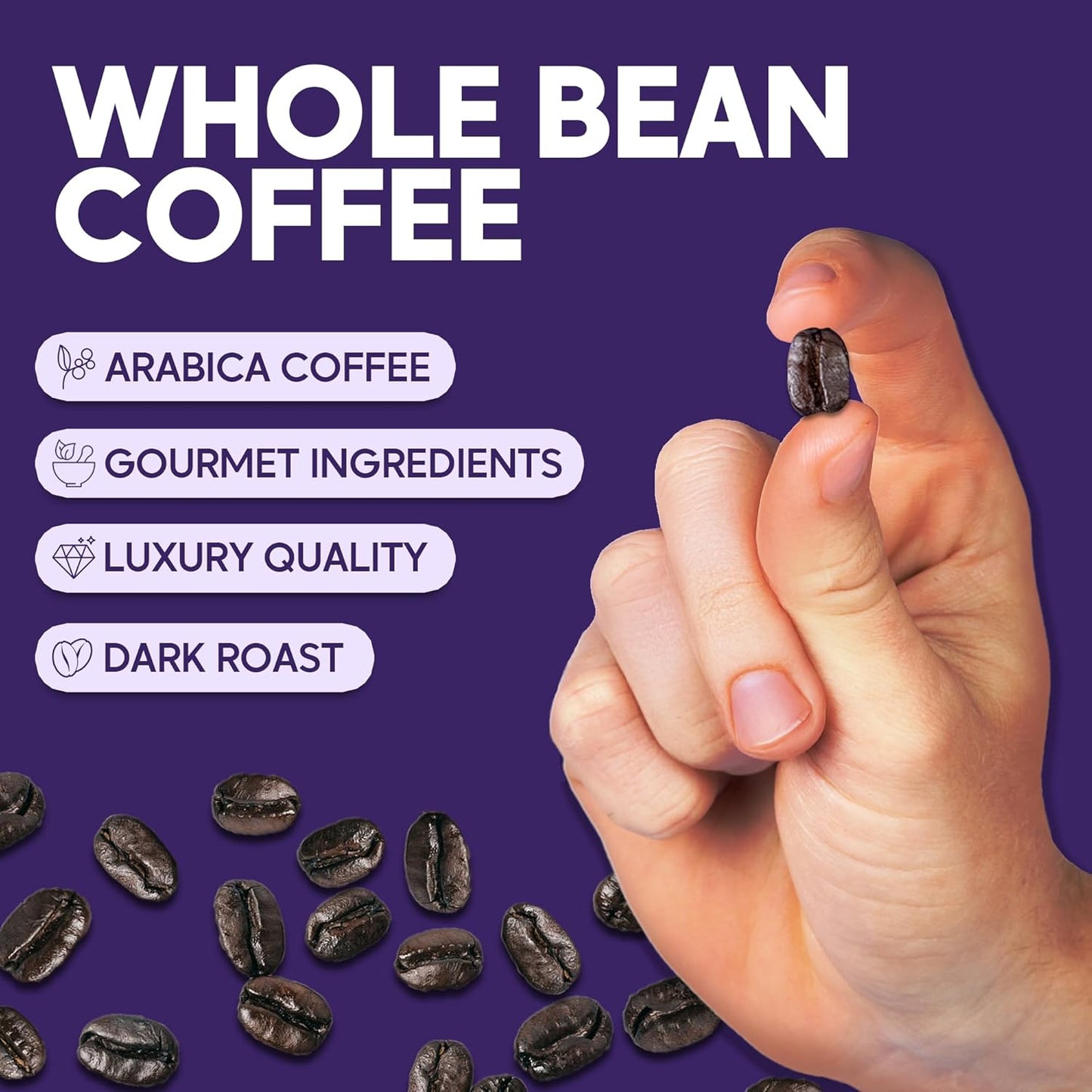 Sarasota Coffee Whole Bean Cubano European French Roast | Dark Roast Gourmet Coffee Beans | Low Acid, Mold Free, Specialty Grade Bulk Coffee Beans | 5lb (80 oz)