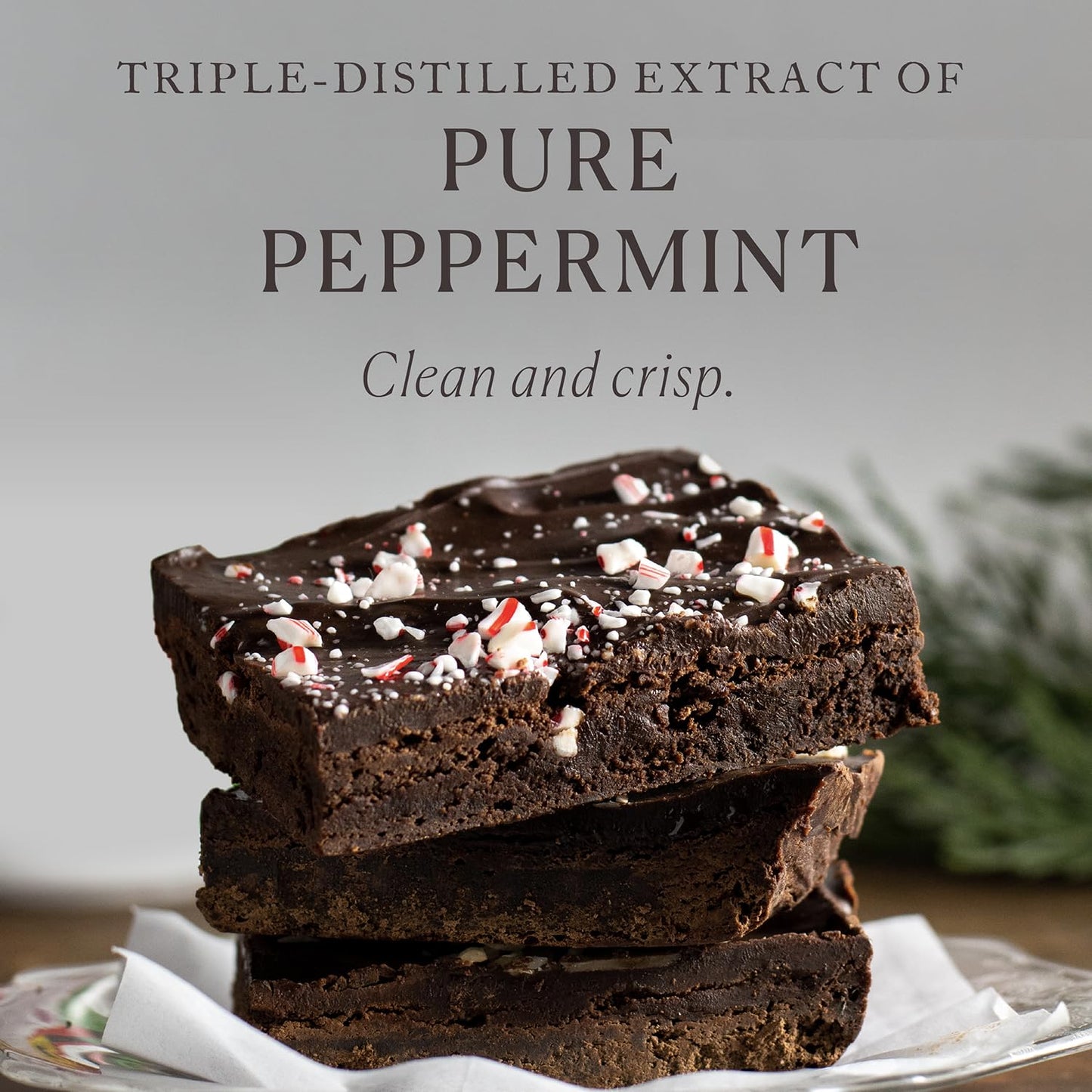 Cook's Organic Peppermint Extract 8 oz