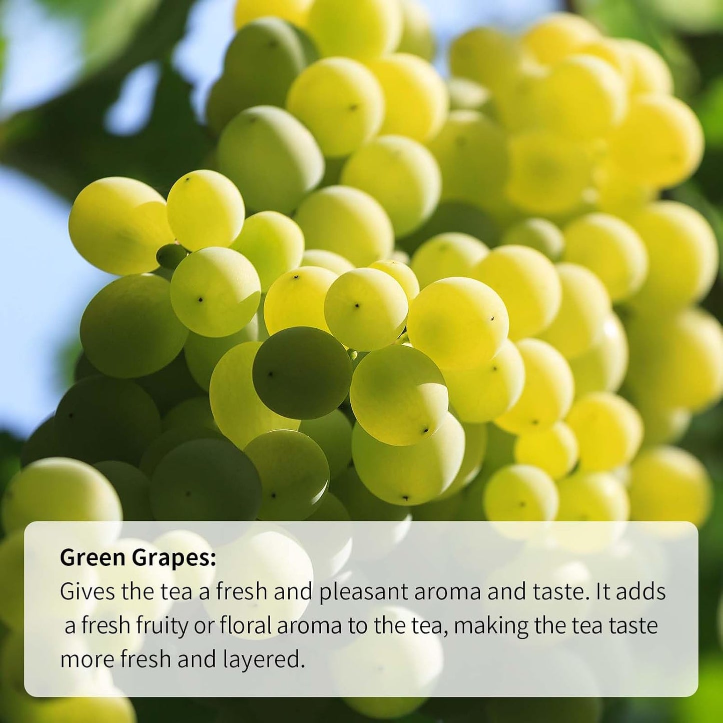 HANFANGLING Green Grape Oolong Tea - Premium Loose Leaf Tea with Natural Green Grape Flavor, 100% Natural, Refreshing & Fruity 1.76oz