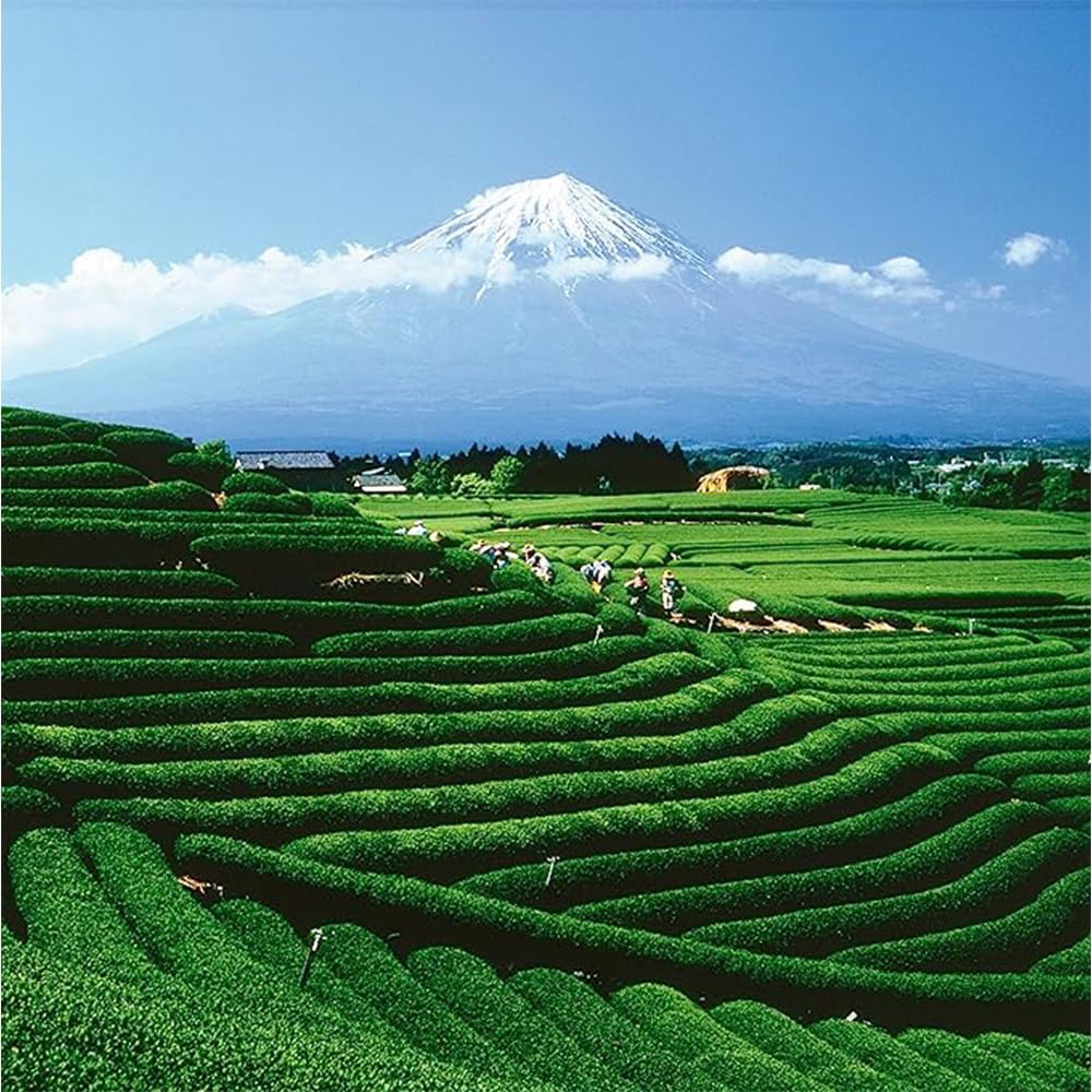 Palais des Thés - Icy Mint Tea - Green Tea & Peppermint - 3.5oz Loose Leaf Metal Gift Tin, Serves 20-25 Cups