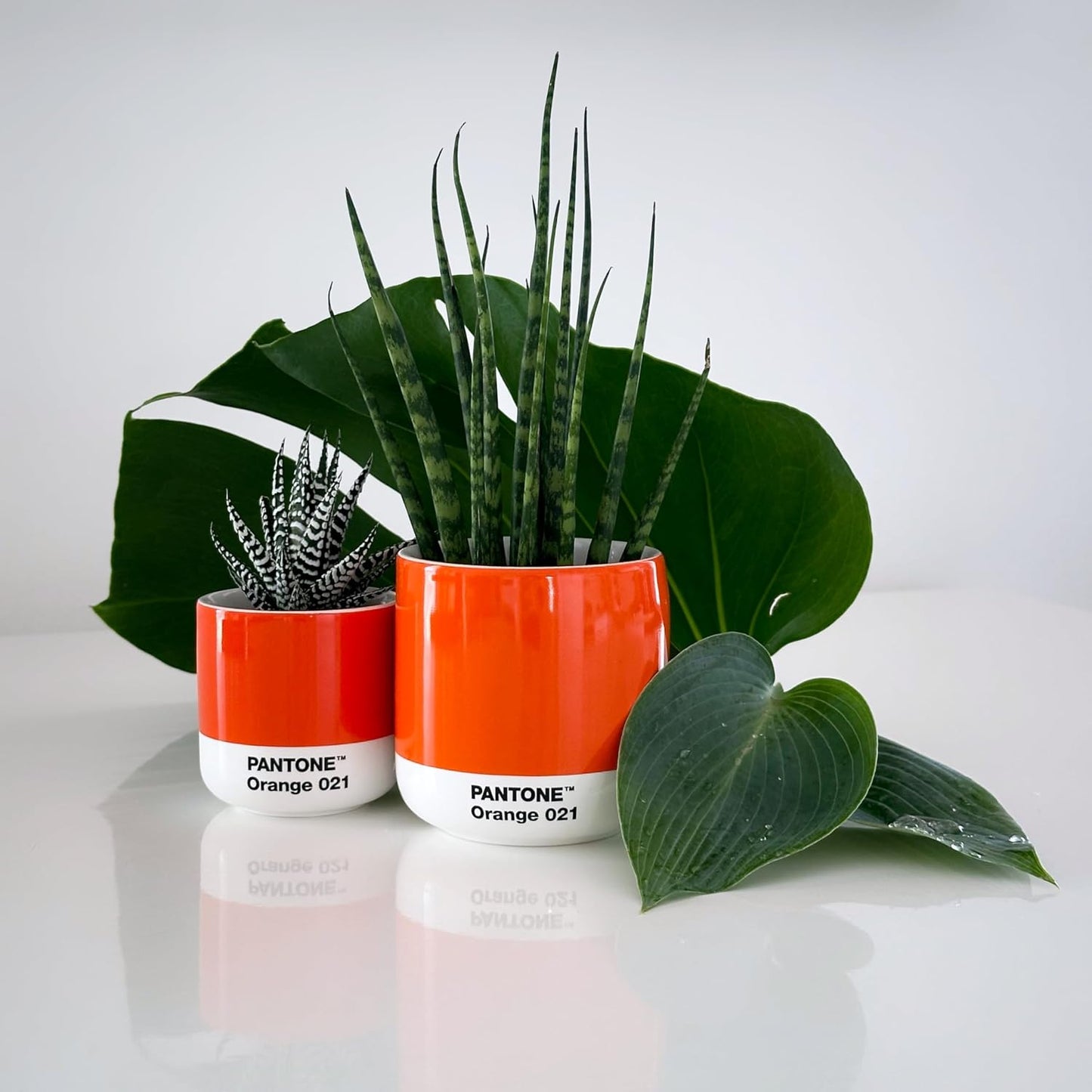 Copenhagen Design Pantone Macchiato Cup - Coffee, Latte, Macchiato Mug - 3.34oz/100ml, Red 2035