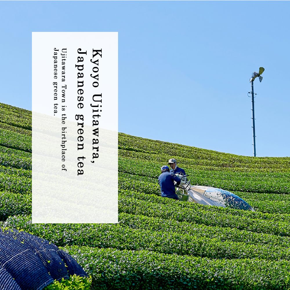 TOMOSAN Hojicha Tea - Japanese Organic Loose Leaf Premium Green Tea - Roasted Kukicha & Sencha Blend, Low Caffeine, USDA Certified, Uji-Kyoto, 100g/3.5oz