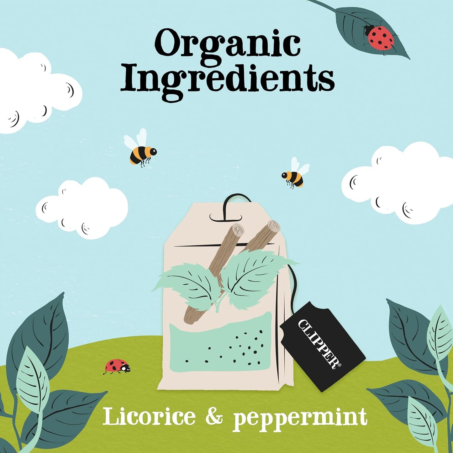 Clipper Tea Peppermint & Licorice Teabags – Caffeine Free, USDA Organic, Great Hot or Iced – Sweet, Refreshing, Natural, Fair & Delicious Sweet – 50 Tea Bags
