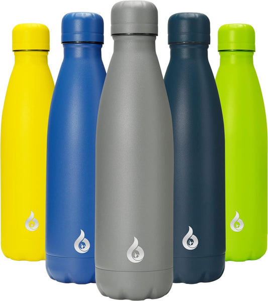BJPKPK Insulated Water Bottle 17oz Stainless Steel Water Bottles,Gray
