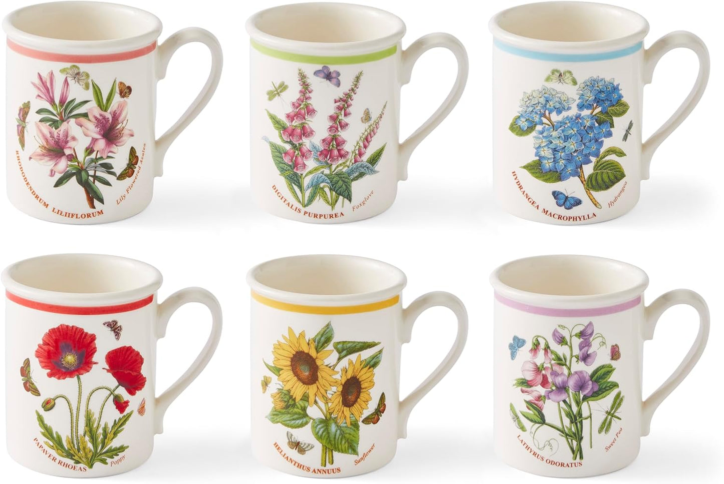 Portmerion Botanic Garden Meadow - 8.5oz Coffee Mug (Set of 6) | Assorted Florals with Colorful Laurel Leaf Border| Earthenware | Microwave & Dishwasher Safe | Breakfast Cups for Tea or Coffee