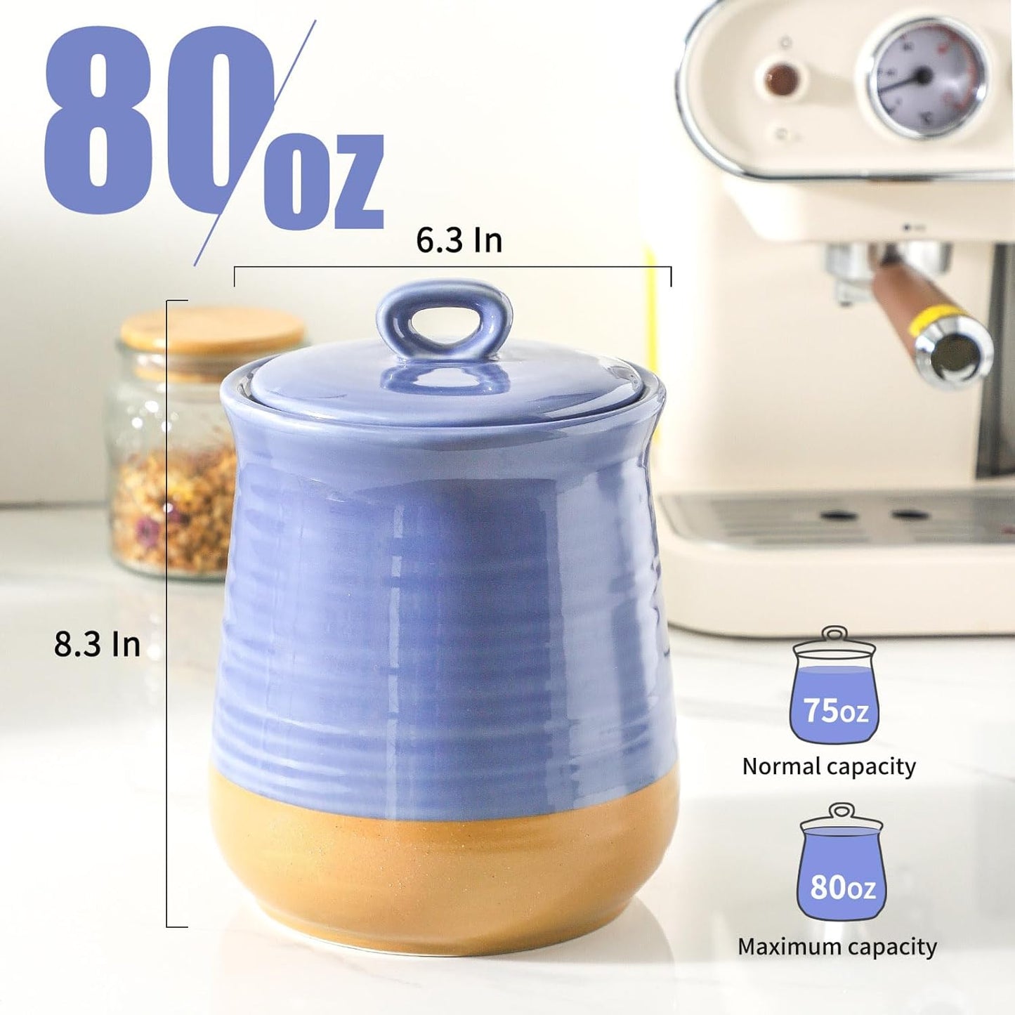 Hasense Food Storage Jar, Ceramic Kitchen Canister with Airtight Lid, 75 FL OZ Food Storage Containers, Candy Jar for Coffee, Sugar, Tea, Flour and More, Wedding Gift, Purple