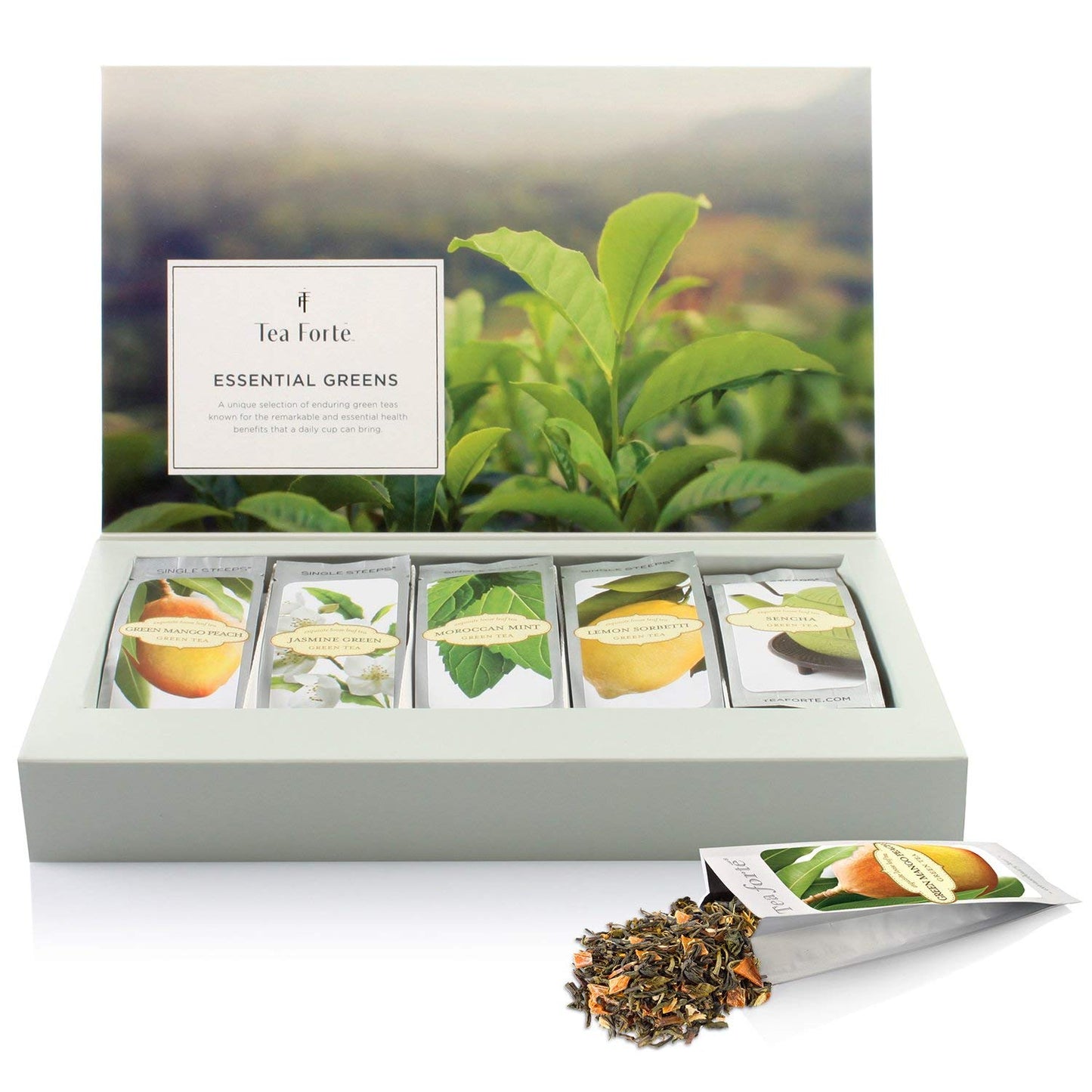 Tea Forte Green Tea Assortment Single Steeps Loose Leaf Premium Tea Gift Set Sampler, 15 Count 3 of Each Assorted Blends, Pre-Portioned Single Serve Pouches, Steeps 12 oz