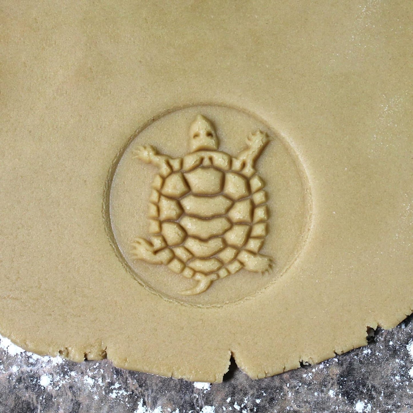 Wood Cookie Stamp, 2.5 Inch (Turtle CS-006)