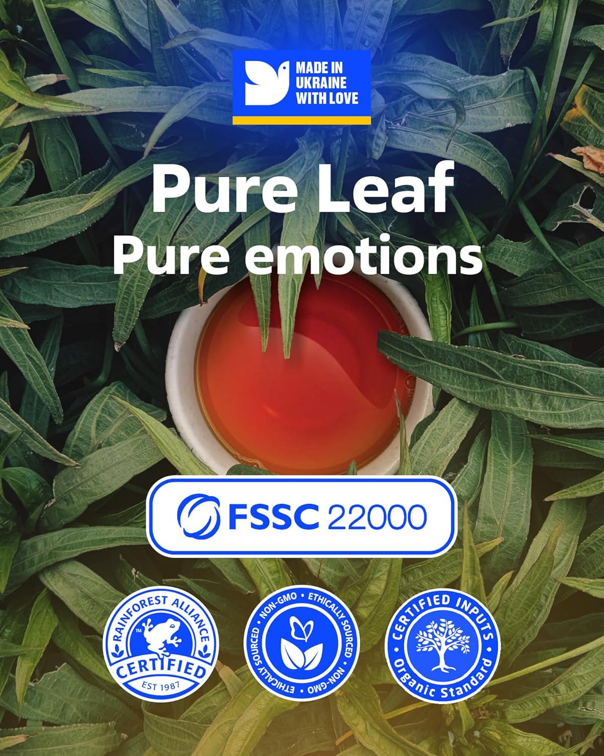 LOVARE Tea Bags, 32 Count - Assorted Black Tea Variety Pack - 1001 Night, Passion Fruit, Champagne Splashes, Wild Berry - Made in Ukraine - Gluten Free