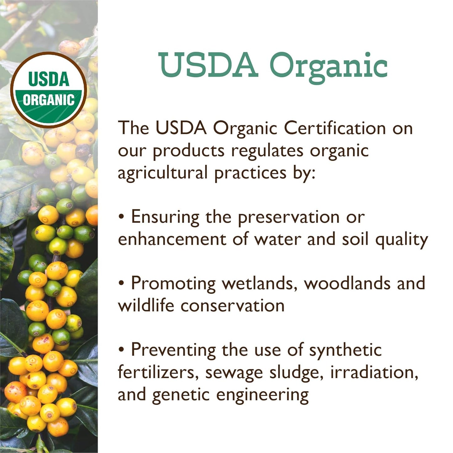 Fresh Roasted Coffee, Organic Montezuma Sunrise| USDA Organic, Kosher | Medium Roast 12 oz Whole Bean