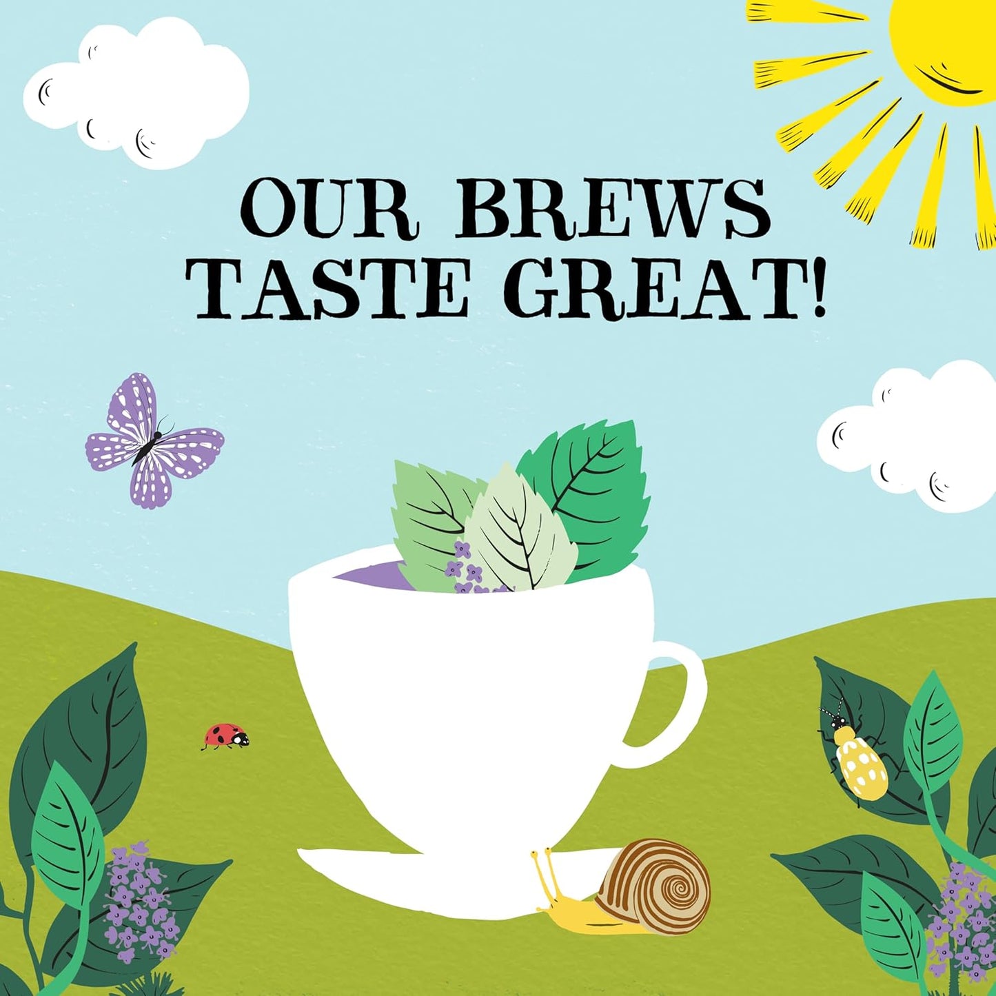 Clipper Tea Mint Herbal Teabags – Caffeine Free, USDA Organic, Great Hot or Iced – Refreshing, Natural, Fair & Delicious – 50 Tea Bags