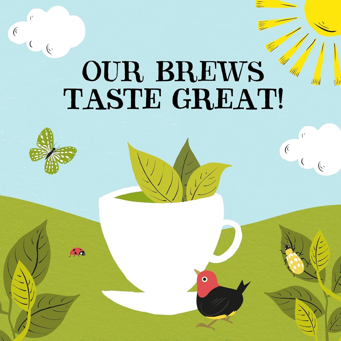 Clipper Tea, Organic Fairtrade Everyday, Organic, USDA Non-GMO, Fair Trade, Sustainable Caffeinated Tea, 1 Pack, 80 Unbleached Tea Bags