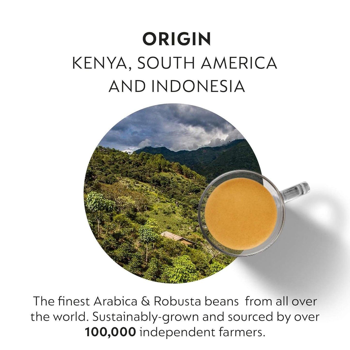 Nespresso Capsules Original Line, Iced Coffee Variety Pack, 40-Count Espresso Coffee Pods