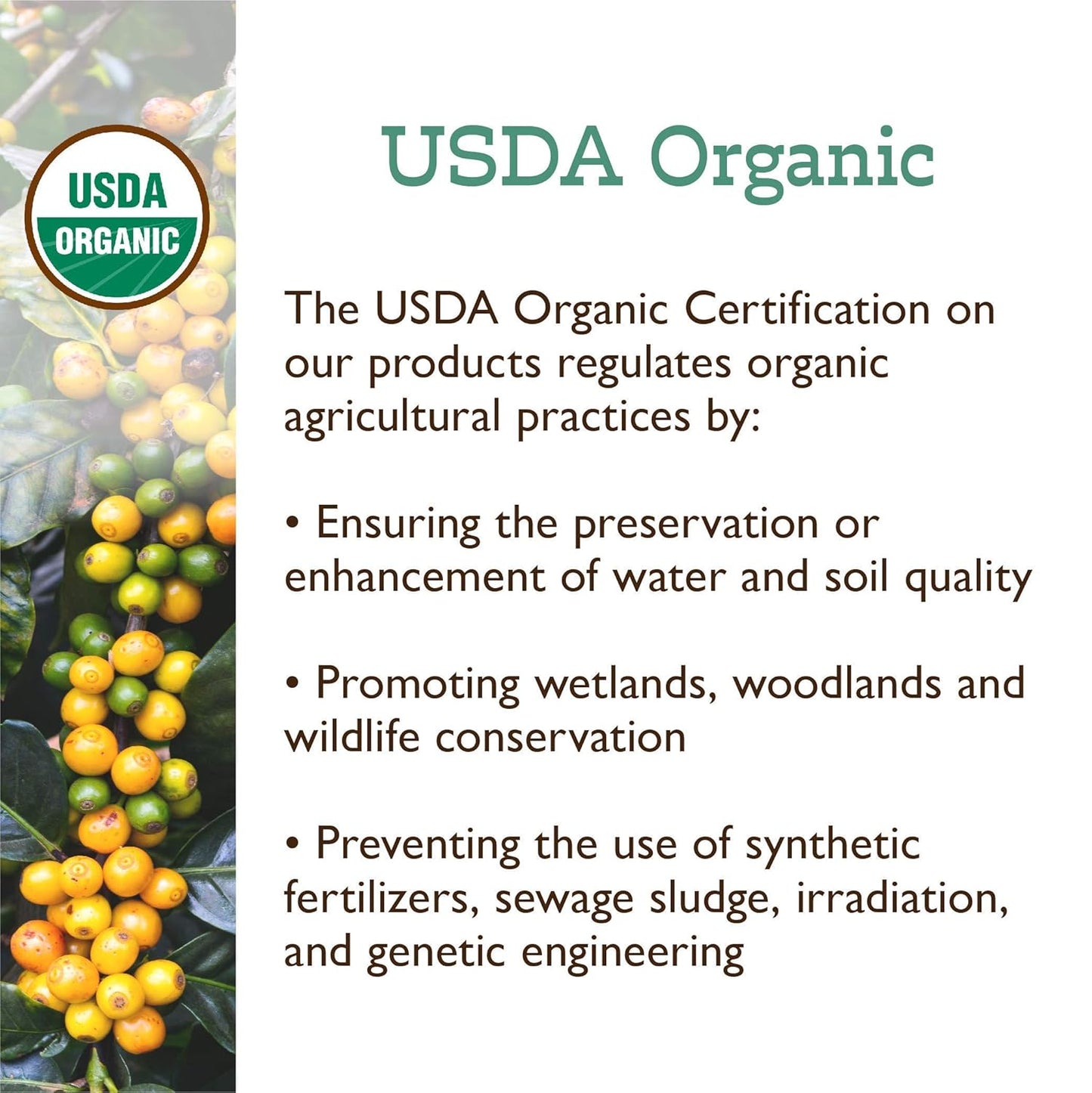 Fresh Roasted Coffee, Organic Drago Café Blend | USDA Organic, Kosher | Medium Roast 12 oz Ground