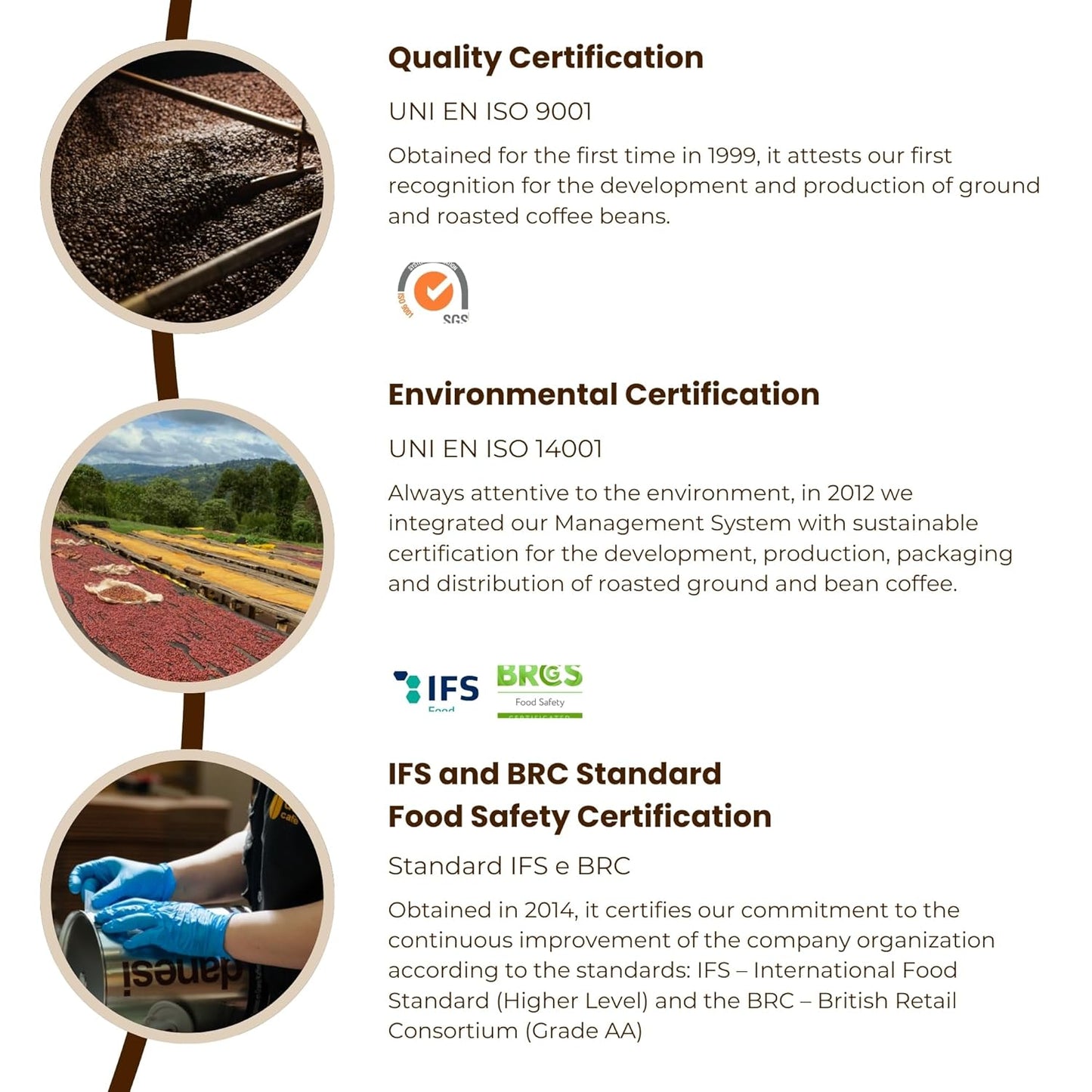 Danesi Caffe Italian Whole Coffee Beans - Espresso Coffee Beans and Medium Roast Whole Bean - Perfect for Espresso Machines, French Press, and Home Brewing - Gold (8.75 lb)