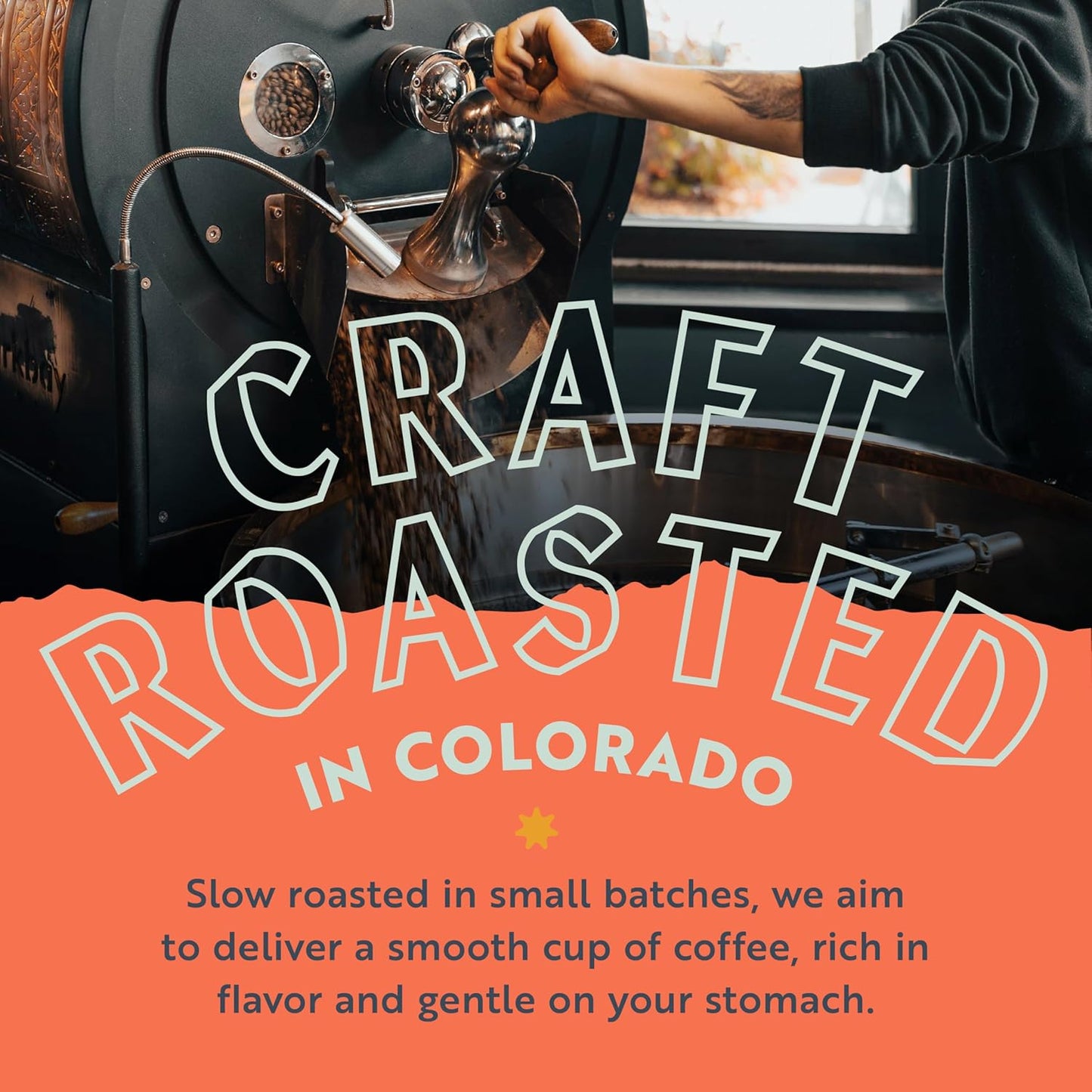 Clean Coffee Co. - Low Acid Medium-Dark Roast, Tested for Molds and Toxins, Papua New Guinea Blend, Notes of Milk Chocolate and Roasted Almonds (Whole Bean, 12 oz Bag)