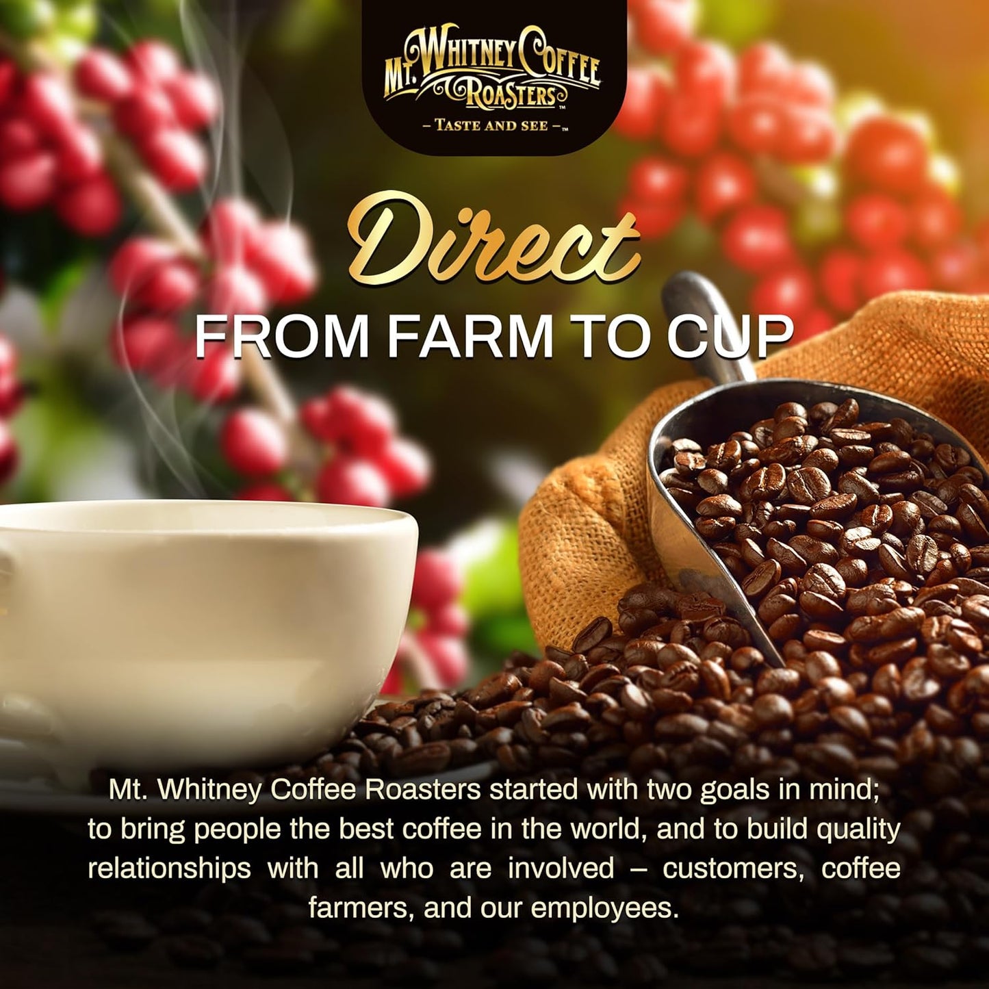 Mt. Whitney Coffee Roasters Base Camp Blend Medium Dark Roast Coffee, Low Acid, Ground, 5 lb (Pack of 1)