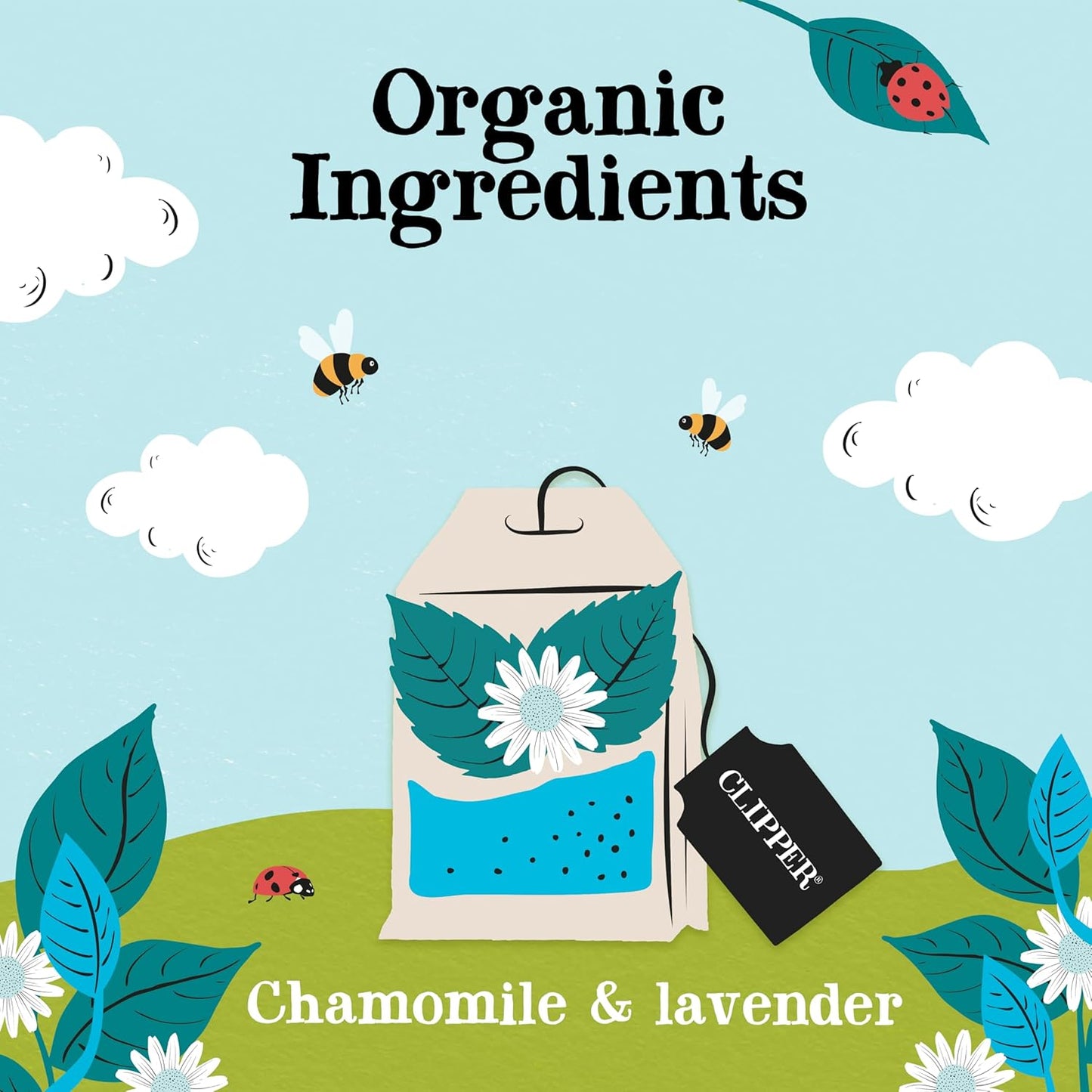 Clipper Tea Snore and Peace Chamomile & Lavender Herbal Tea – Caffeine Free, USDA Organic, Great Hot or Iced – Comfortingly Floral, Natural, Fair & Delicious – 50 Tea Bags