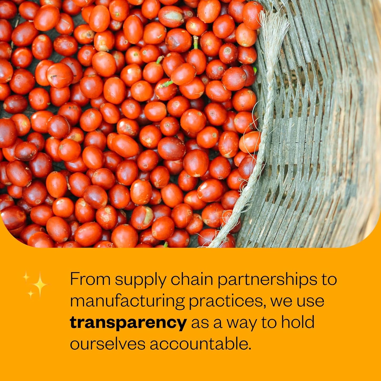 Counter Culture Coffee - Fresh Roasted Certified Organic Whole Bean Coffee (Kosher) (Even Keel Double Pack)