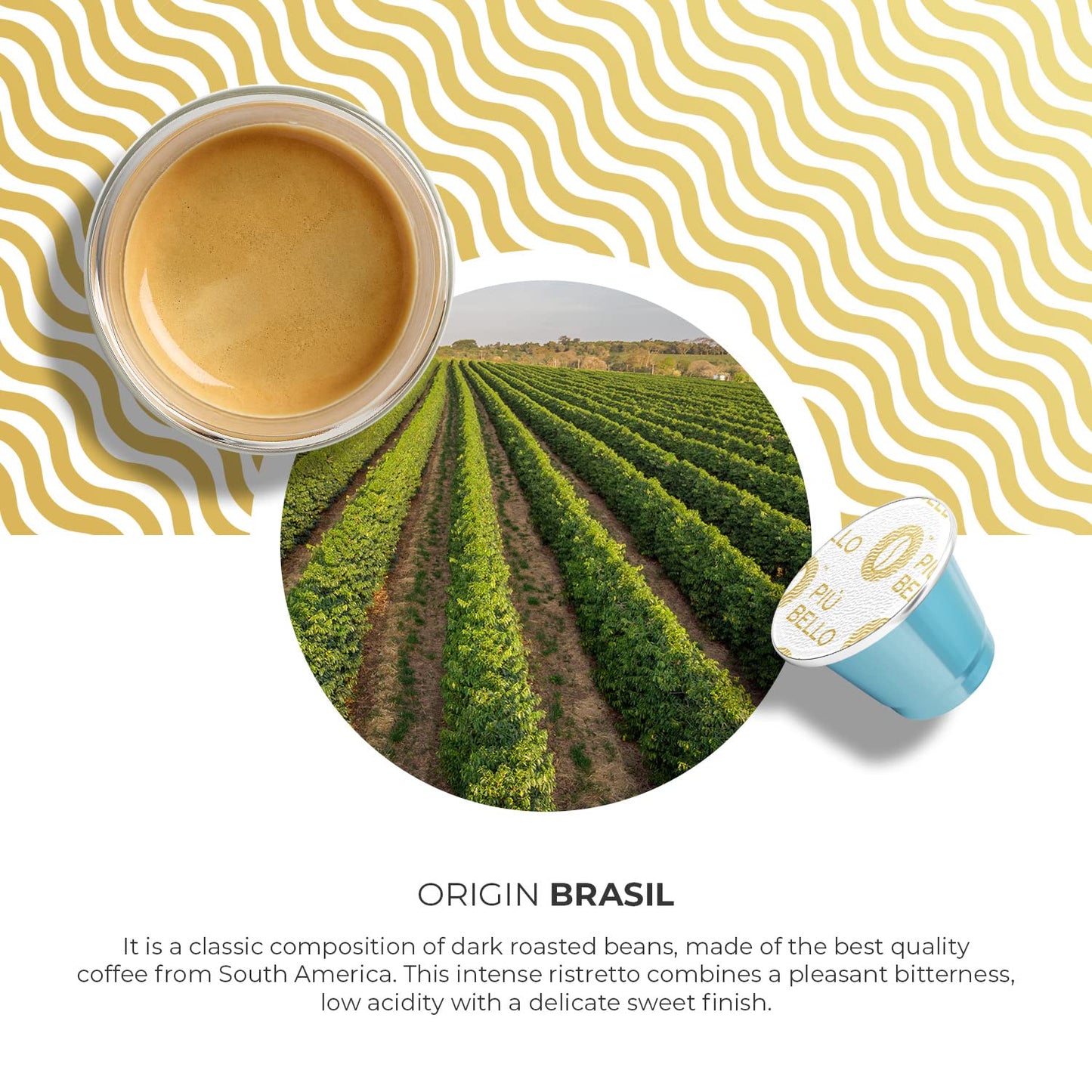 Piu Bello Lazio Espresso Coffee Pods – for Nespresso Original Machines – Compatible Capsules Pack – Rich & Balanced Taste – Strong Italian Espresso Flavor – Kosher Certified (60 Count, Single Flavor)